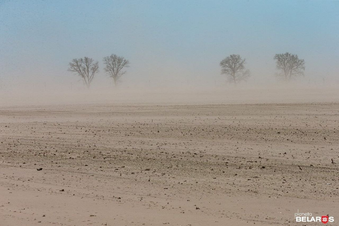 Photo 3. b) a dust storm in the Rechytsa rayon