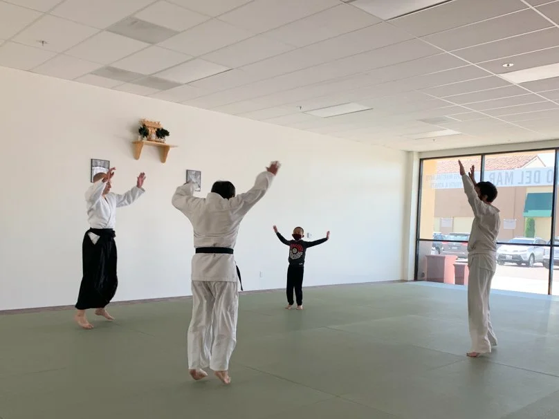 Aikido Del Mar, Marital Art of Peace