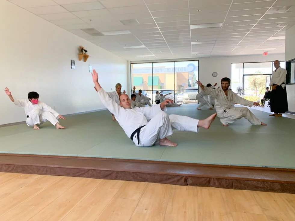 Aikido Del Mar, Marital Art of Peace