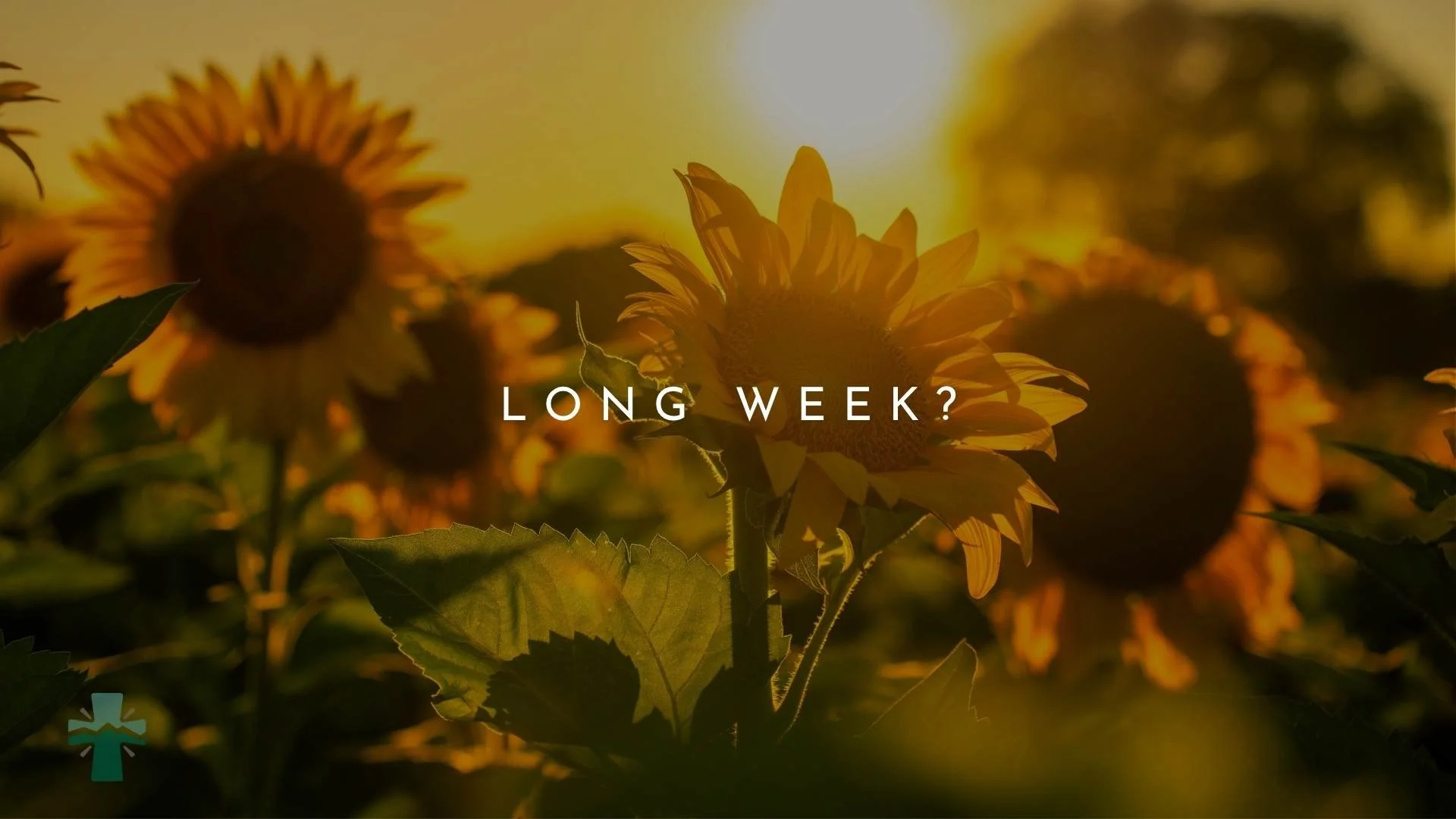 Some weeks leave us tired. Some seasons leave us wondering how to keep going.

This Sunday, we&rsquo;ll hear God&rsquo;s encouragement from 1 Peter and remember why we continue in faith: because Christ is faithful, His promises are true, and His grac