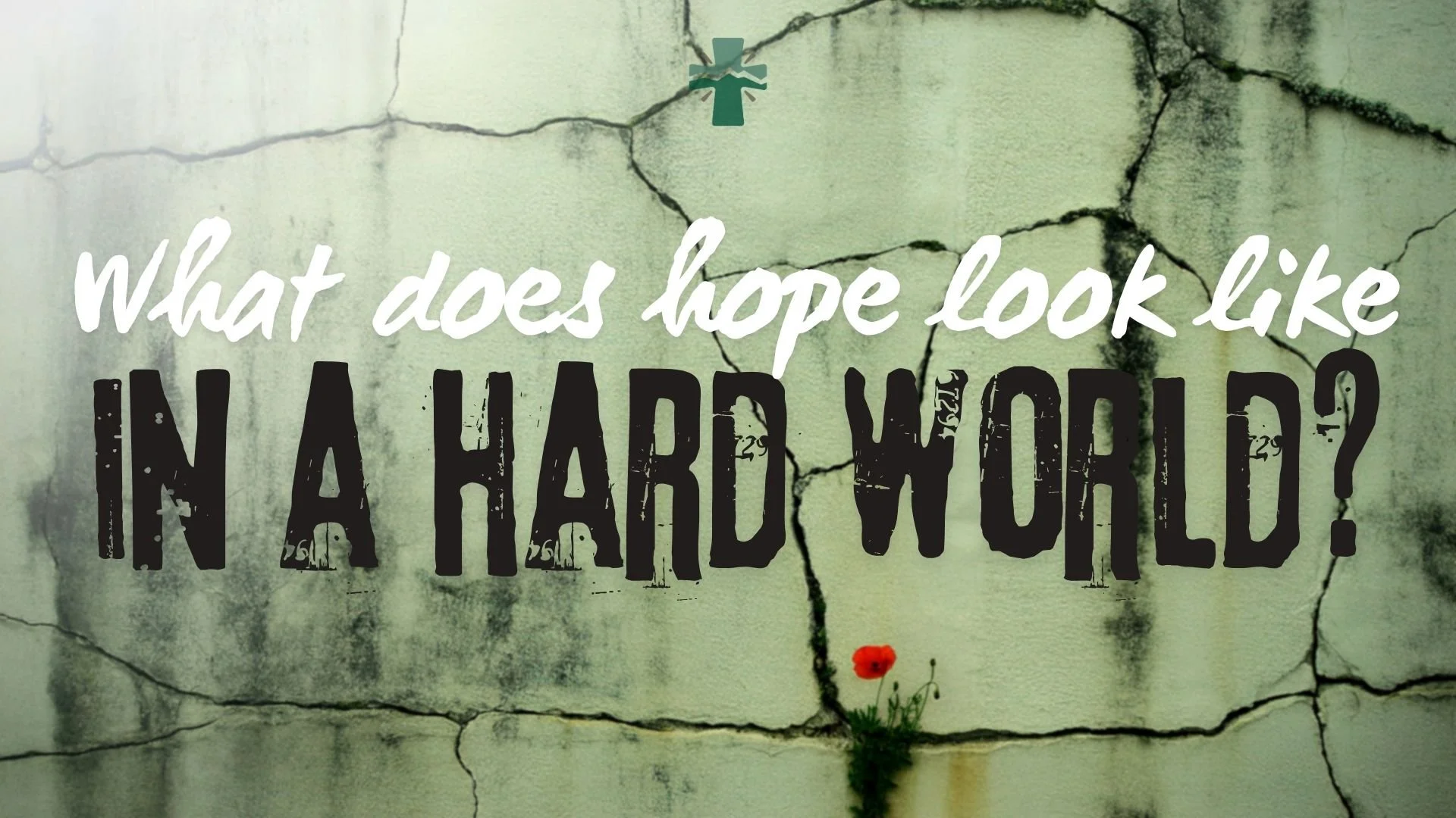 This Sunday, we will hear the good news that Christ suffered the righteous for the unrighteous, to bring us to God. (1 Peter 3:18)

Jesus entered our brokenness to rescue us, forgive us, and give us a living hope that cannot be taken away.

Join us f