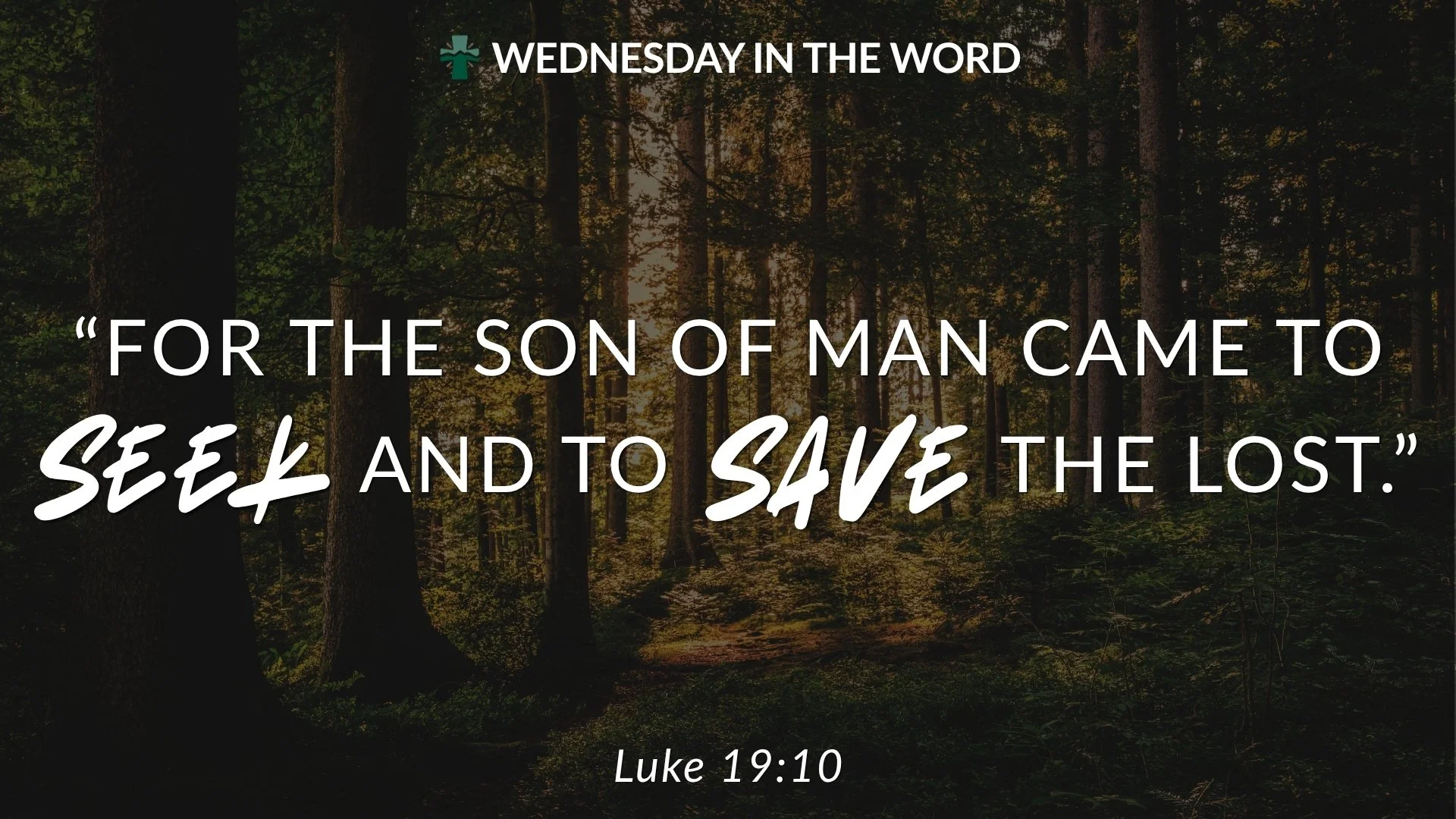 Zacchaeus wanted to see Jesus.

He climbed a tree just to get a glimpse of Him, and Jesus did something unexpected: He stopped, called Zacchaeus by name, and invited Himself to his home. Jesus saw him, knew him, and came to him.

The story of Zacchae