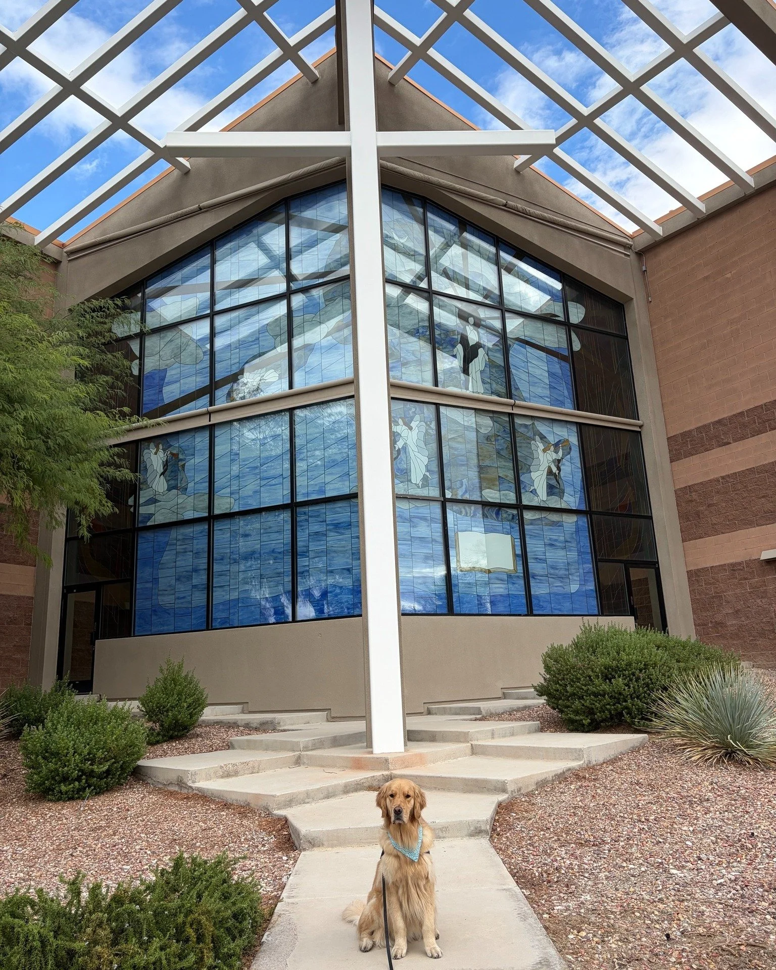 A little extra joy has been visiting our campus this week!

Zechariah Comfort Dog @lcck9zechariah has been spending time with us alongside Mrs. Bartholomew, sharing plenty of love, comfort, and friendly companionship with everyone he meets. We&rsquo;
