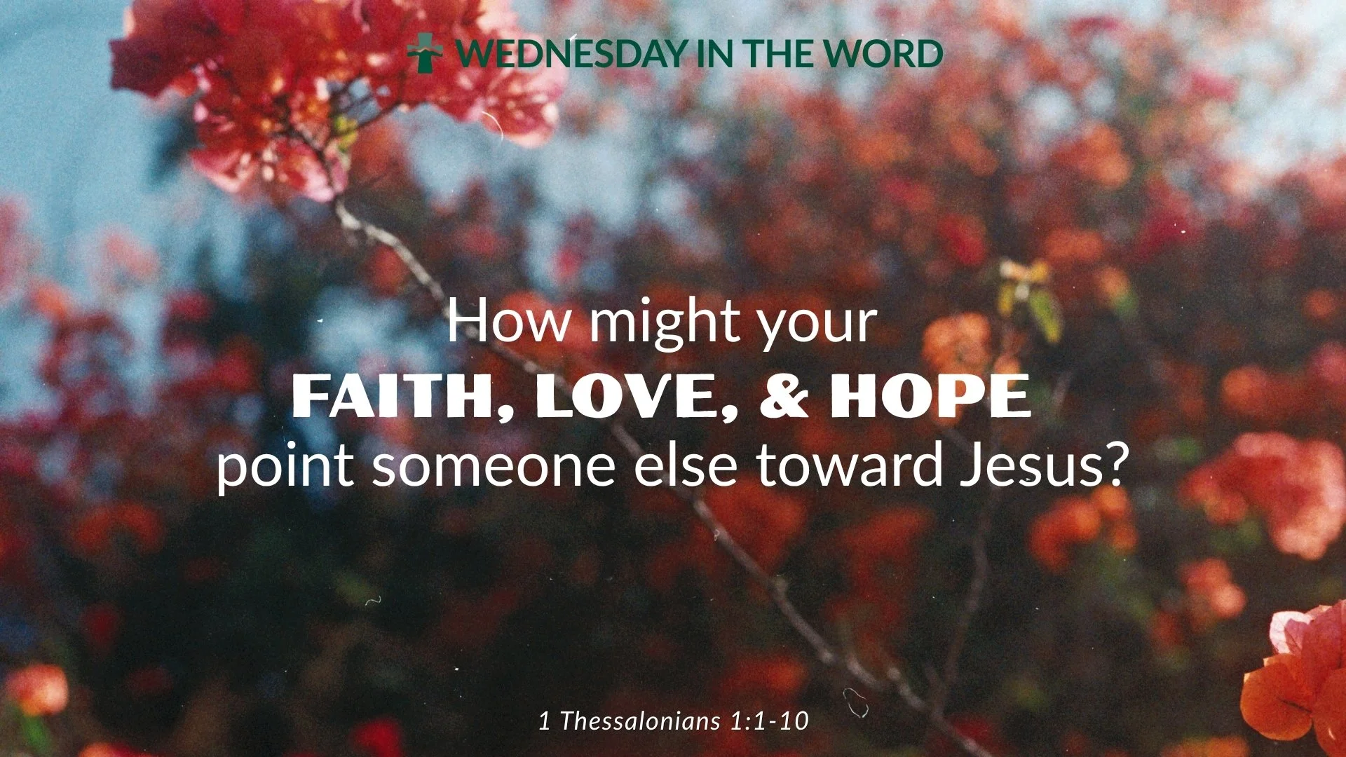 What does a faith that makes an impact look like?

In 1 Thessalonians 1:1-10, Paul gives thanks for a church whose faith is active, whose love is evident, and whose hope is rooted in Jesus Christ. Their faith wasn't just something they believed. It s