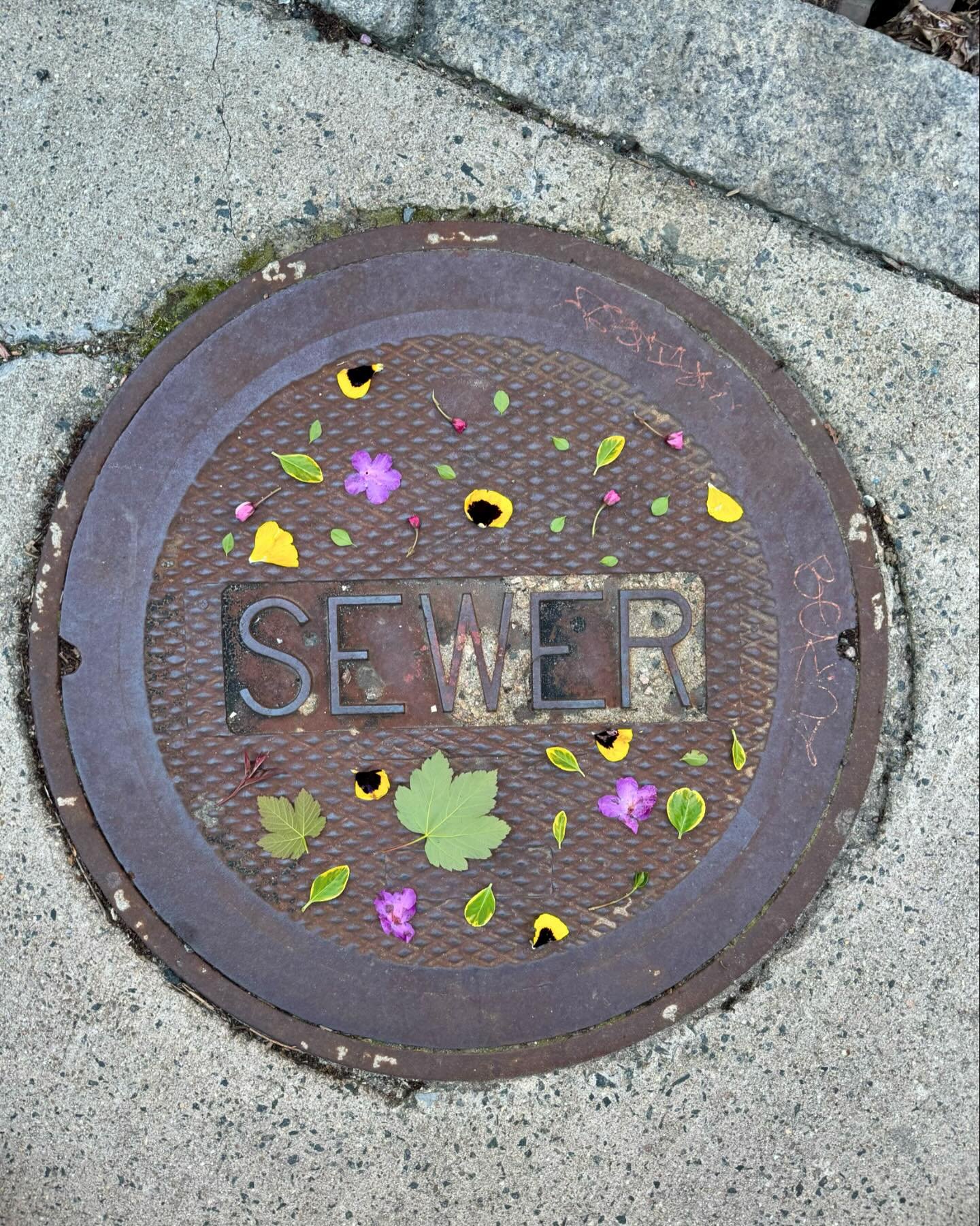 Greetings from the gutters of Cambridge. #dogwalkdiarynyc #cambridgema #sewersofinstagram #manholeunited #drainspotting #manholecovers #streetart #rustlord_texturaunique_ #tv_colorsplash #signsofspring #foundontheground #lookdown #ephemeralart