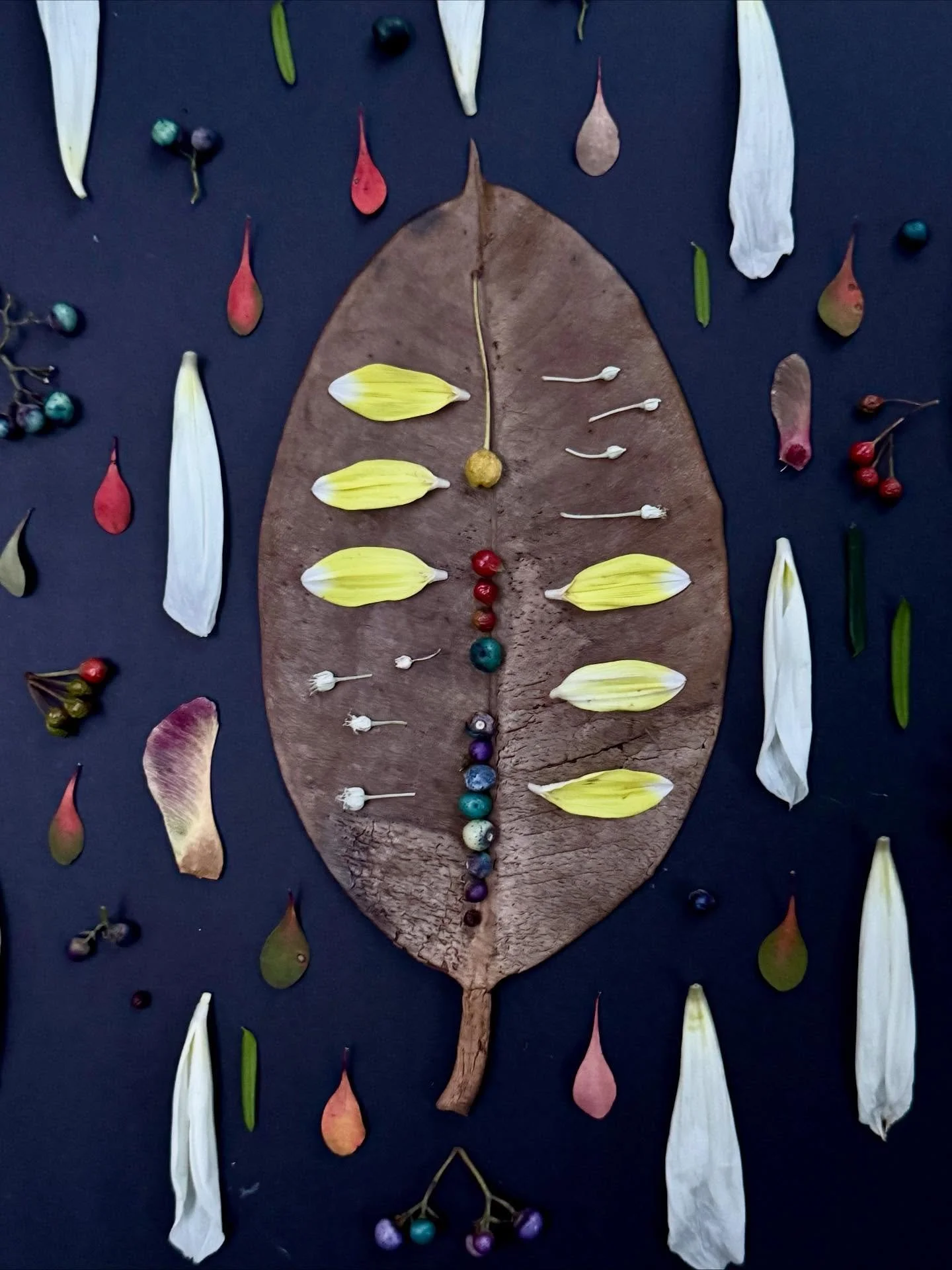 Storm expected. #dogwalkdiarynyc #botanicalart #assemblageart #leafart #naturecollection #allthingsbotanical #fallberries #dailyart #ephemeralart