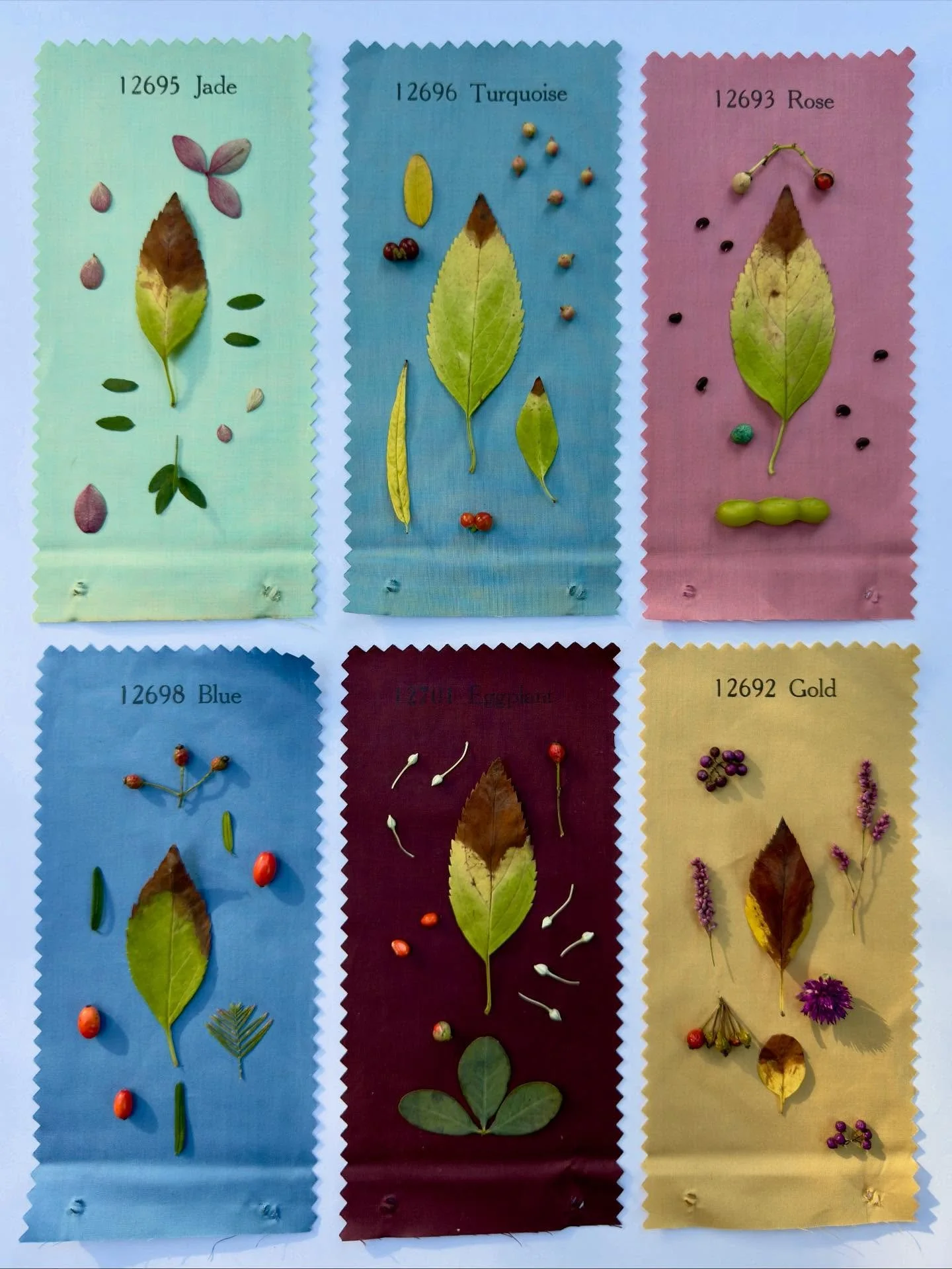 The flip side of glazed chintz: vintage fabric samples from my pal Laura Snapp. #dogwalkdiarynyc #botanicalart #assemblageart #vintagecolors #fabricsamples #honeysuckle #falldisplay #ephemeralartjourneysdaily