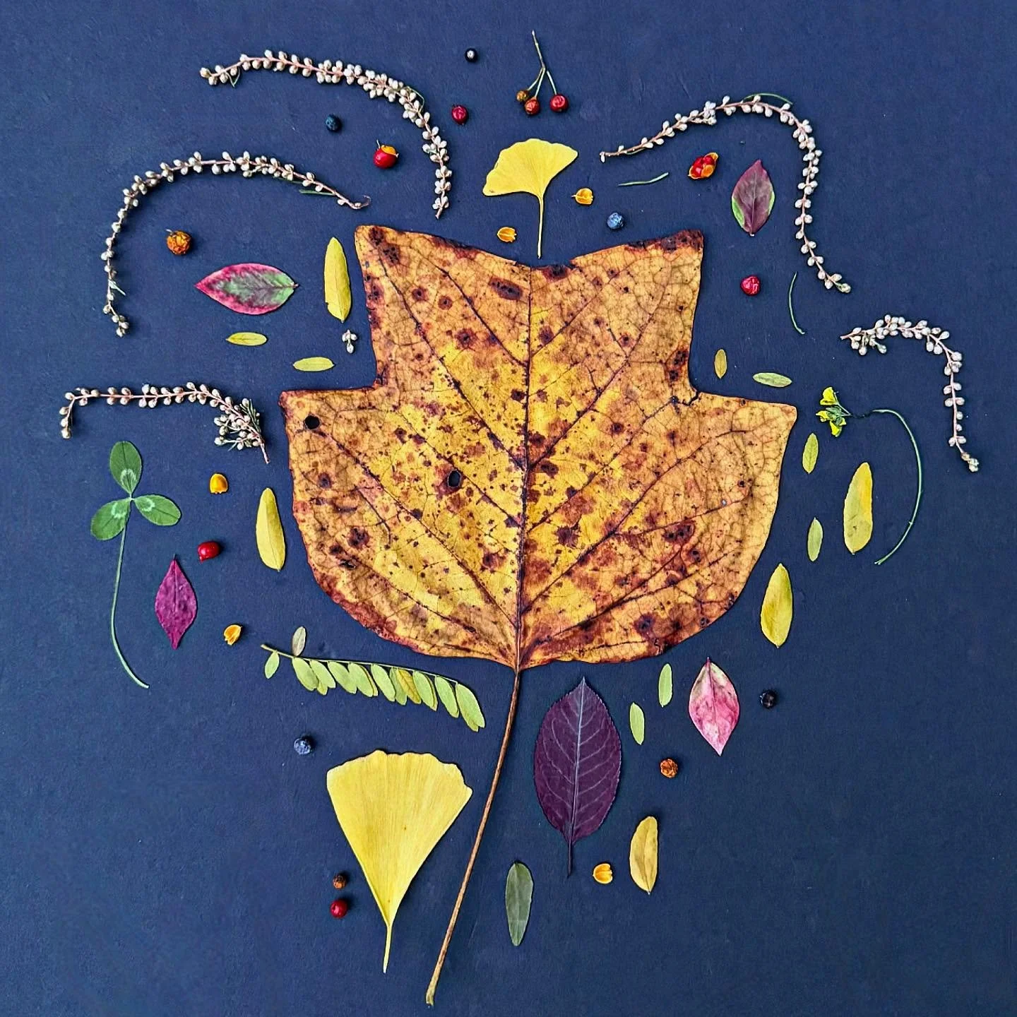 Election day tulip poplar party for NYC&rsquo;s anticipated new mayor. #dogwalkdiarynyc #thingsifindwhilewalking #leafart #fallfinds #tulippoplar #artandnature #natureflatlays #ephemeralartjourneysdaily