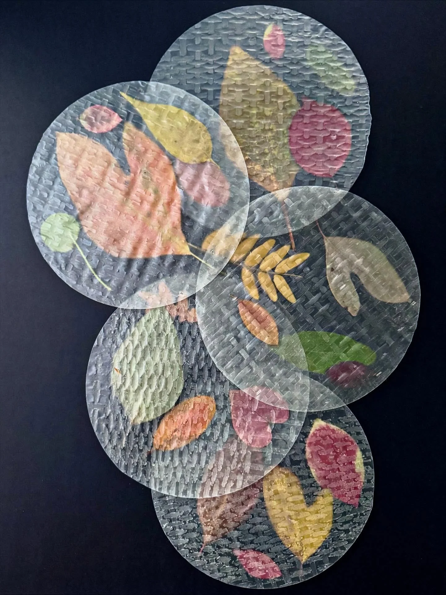 Rice paper spring roll wrappers discovered in the far back of a pantry shelf. #dogwalkdiarynyc #playwithyourfood #circleart #leafart #moonart #nothingisordinary #inspirationiseverywhere #ephemeralartjourneysdaily