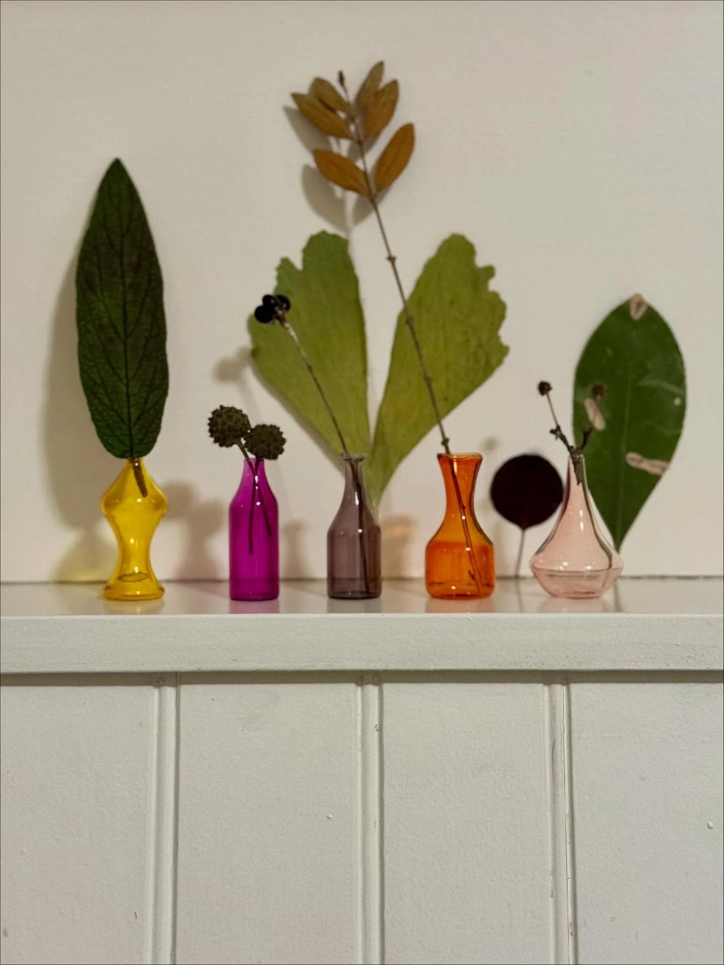 My new glass menagerie: with so many thanks to writer @alisonlynmiller for knowing exactly what I love. Her brilliant first book, Rough House, about the indie wrestling rings of Georgia, is out in Jan (pre-order now)! #dogwalkdiarynyc #tinyvase #colo