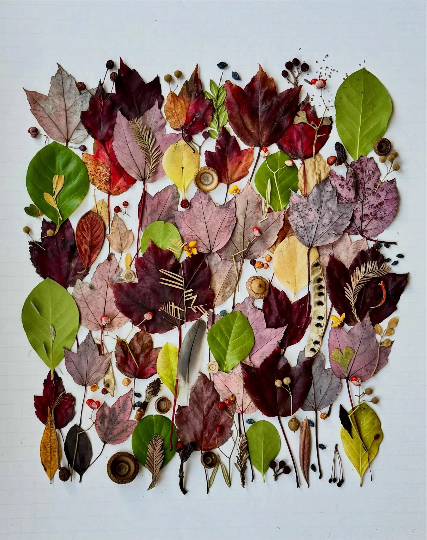 An orchestra of fallen red maples and contrasting euonymus leaves. After I assembled this, it needed something more, and there happened to be a metal tray of wizened berries, acorns, and found string sitting on the piano bench next me. I was very hap