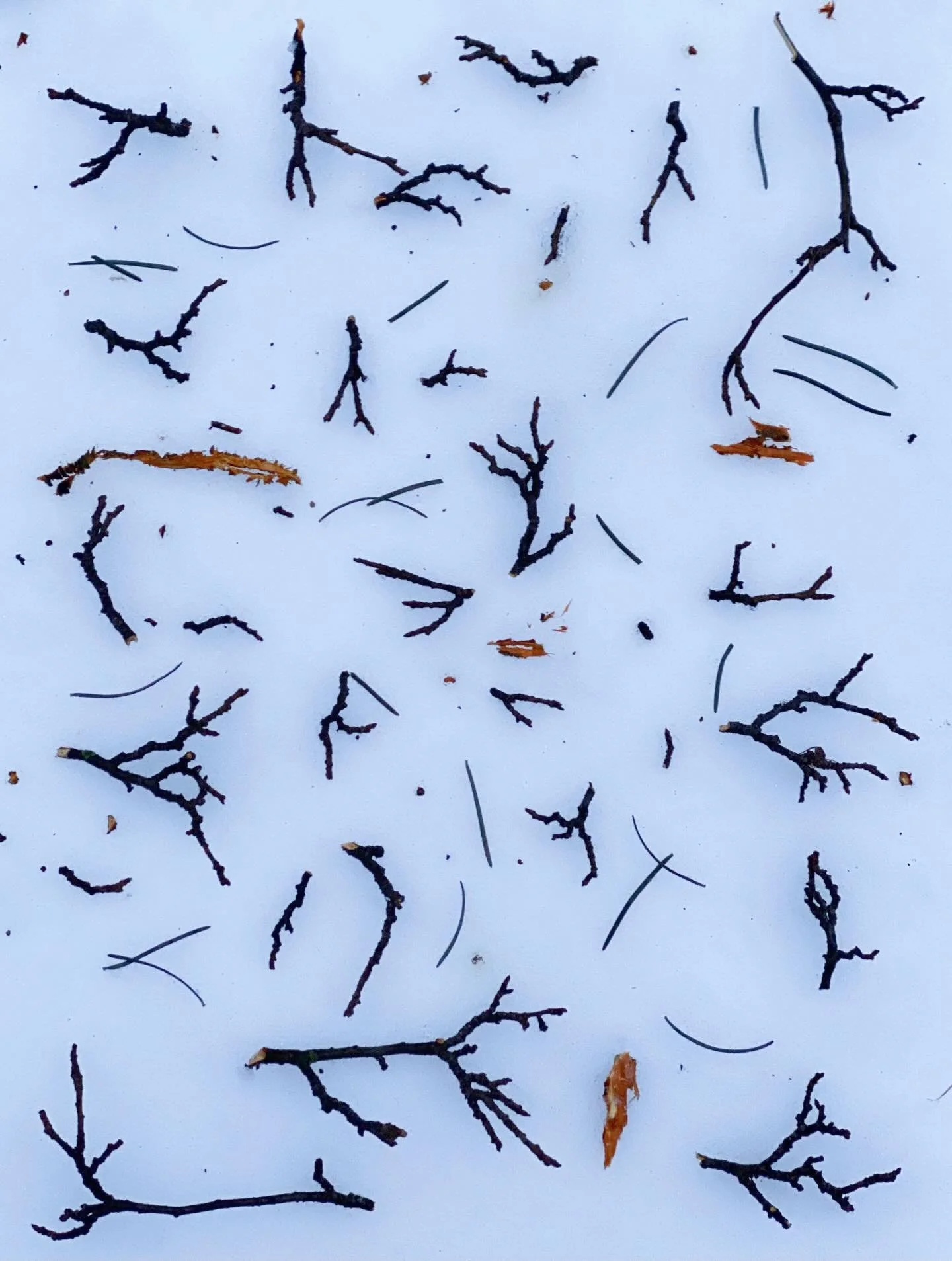 Twig ballet. #stickart #nothingisordinary_nature #ephemeralartjourneysdaily