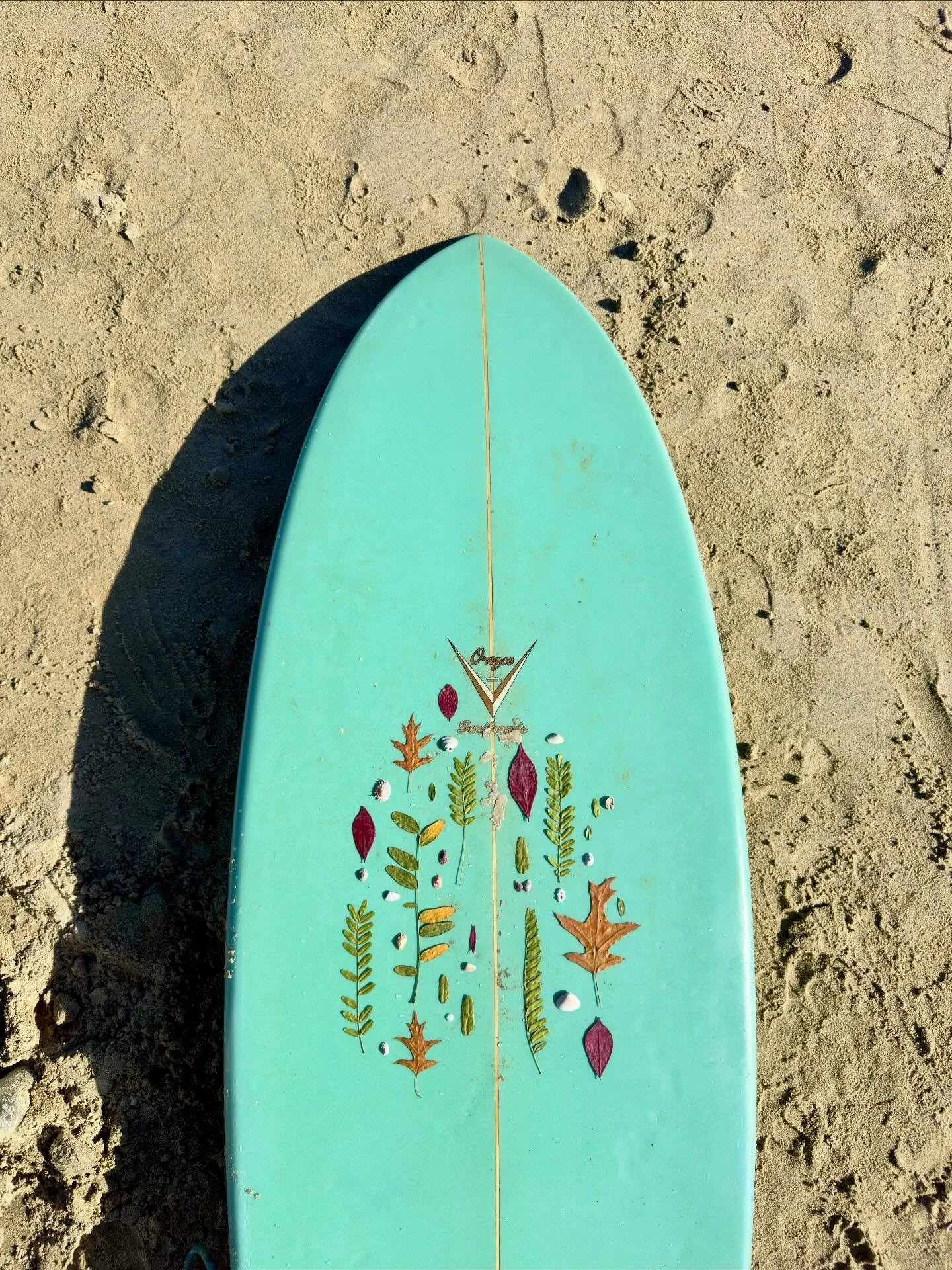 I am so lucky to be back on the beach in Todos Santos, Mexico, with my family. I always slip leaves in the books I bring along on vacation, and the novel I&rsquo;m currently reading, The Friend by Sigrid Nunez, evidently traveled with me before becau