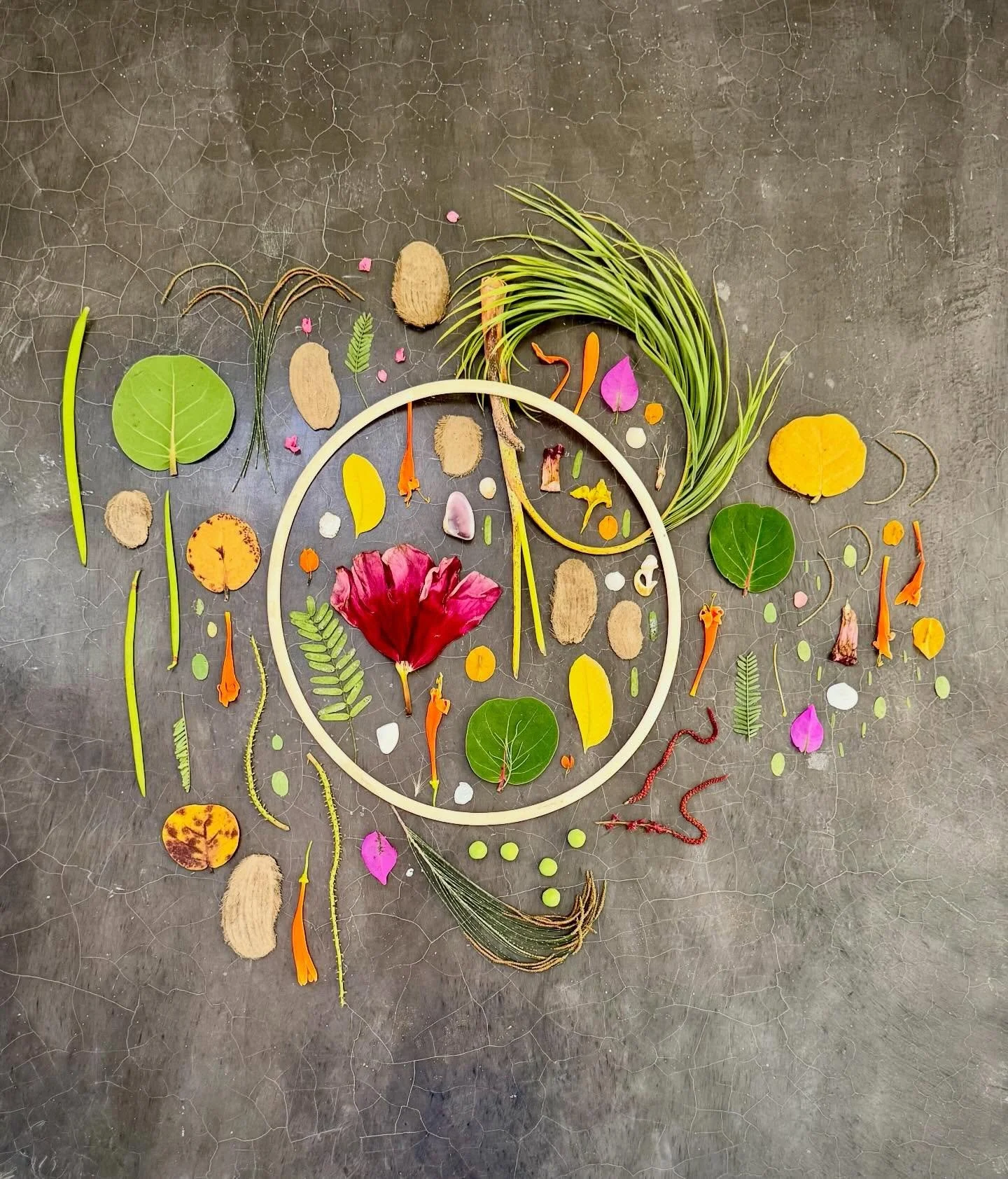 Inner and outer circle. Made with some finds from a trip to the Todos Santos dump. With thanks to @cowgirlintraining_ for the behind-the-scenes stair pics. #botanicalart #natureflatlays #ephemeralartjourneysdaily #todossantosmexico