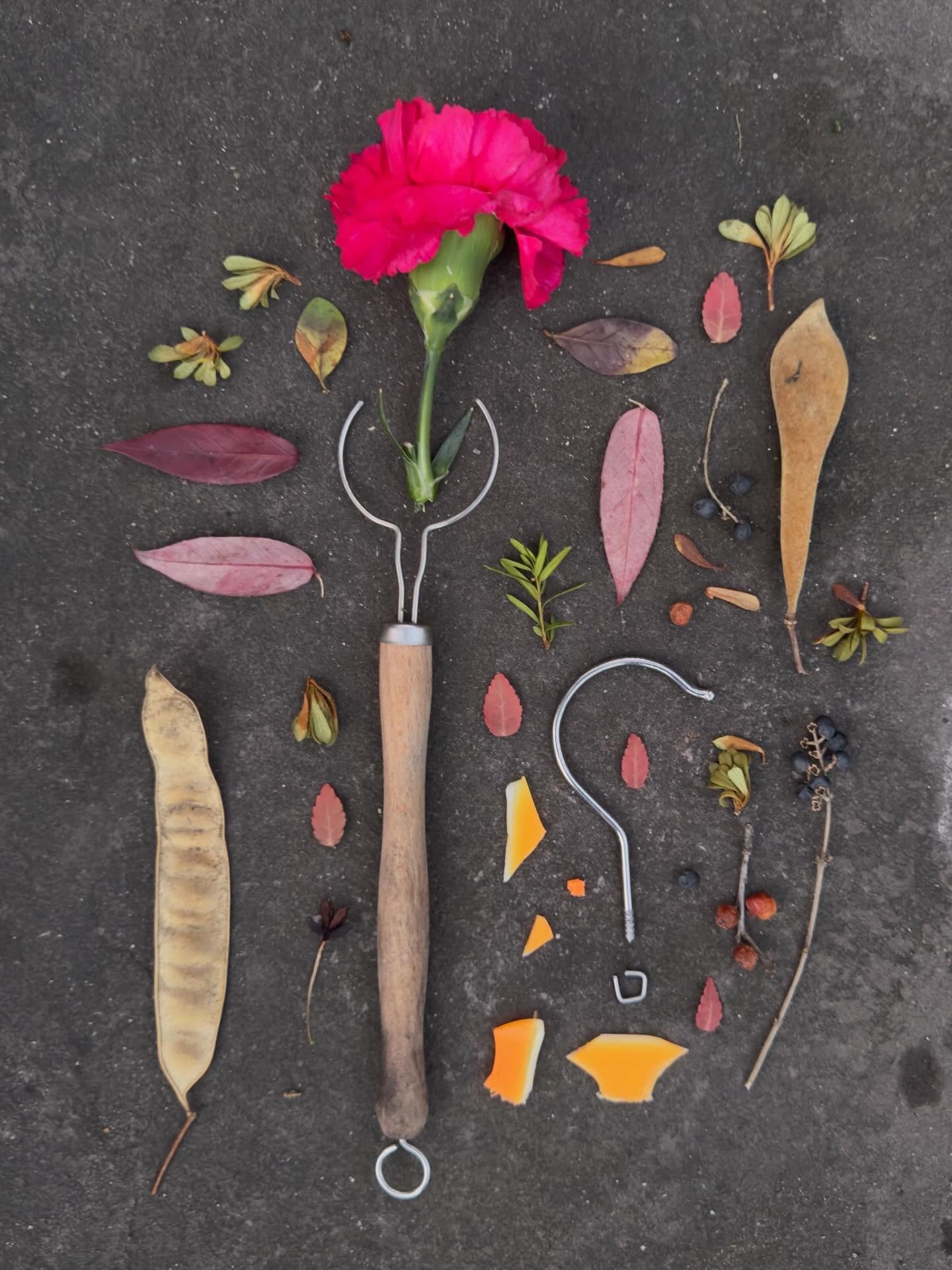 I&rsquo;m a scrap hunter, especially in winter when castoffs stand out in the starkness. This carnation came from a sad grocery store: after watching a woman buy two bouquets, I spotted the dropped carnation in the parking lot and stopped my car to r