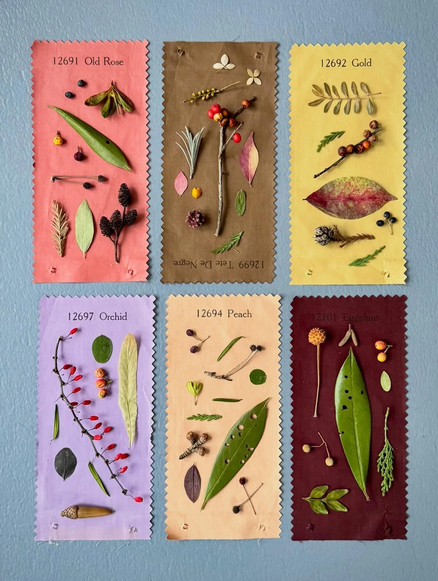 Nature rewards. Thank you to Laura Snapp for sending me these vintage swatches. #learnfromthepast