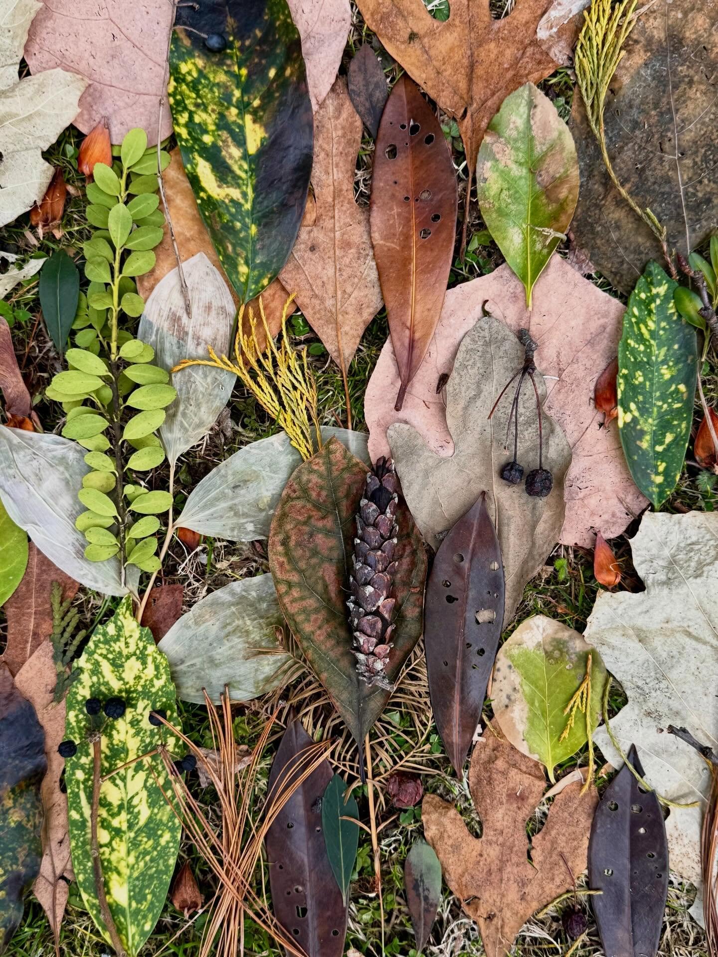 Now and then: on Feb 22, Honey and I dashed out as more snow started falling. We&rsquo;ve been snowed under since then, until seemingly overnight just about all has melted&mdash;we had a 60-degree Sunday&mdash;revealing my little buried composition. 