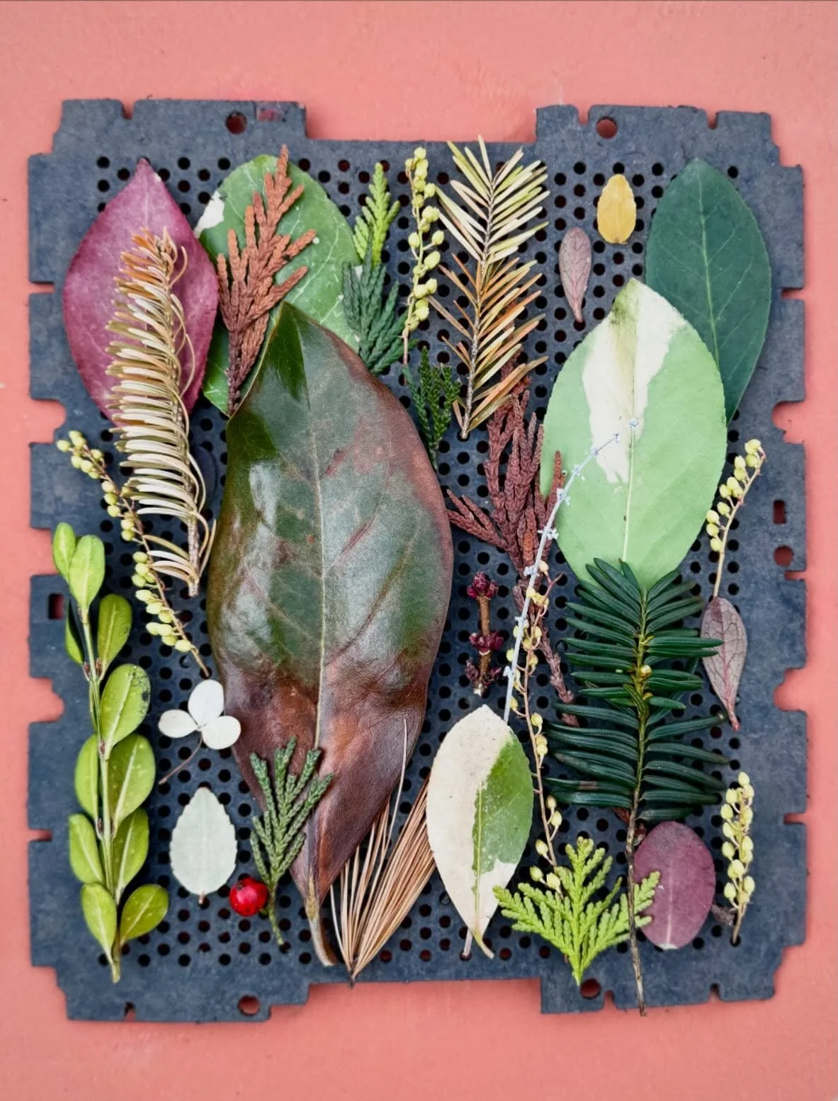 Ye olde small, festooned, questionable scrap that I picked up on the street. #dogwalkdiarynyc #thingsifindwhilewalking #botanicalart #assemblageart #nothingisordinary