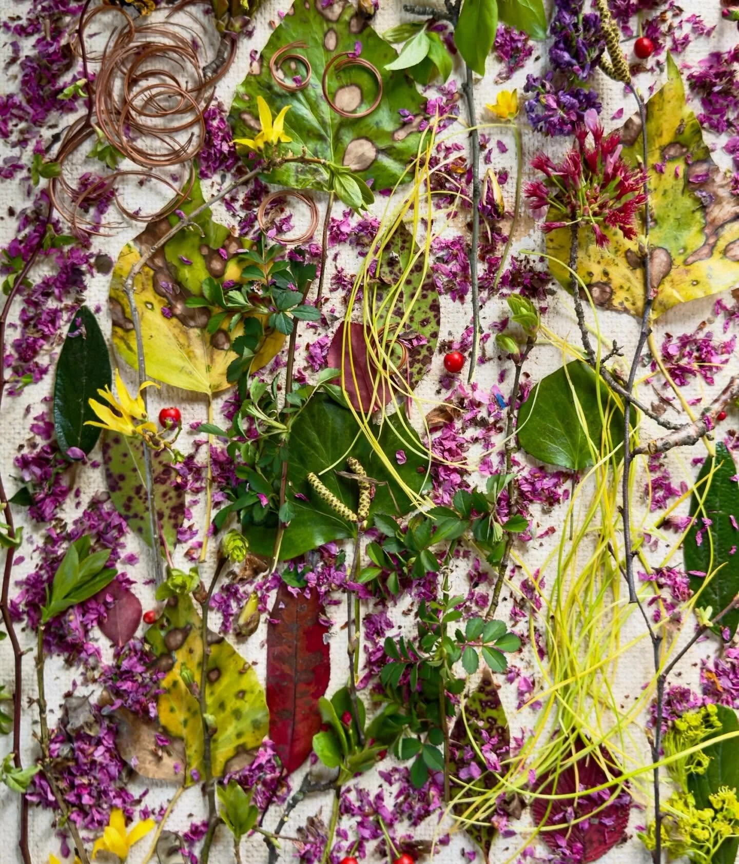 Putting thoughts to paper. #dogwalkdiarynyc #botanicalcollection #inspiredbynature_ #springfling #pinkpetals