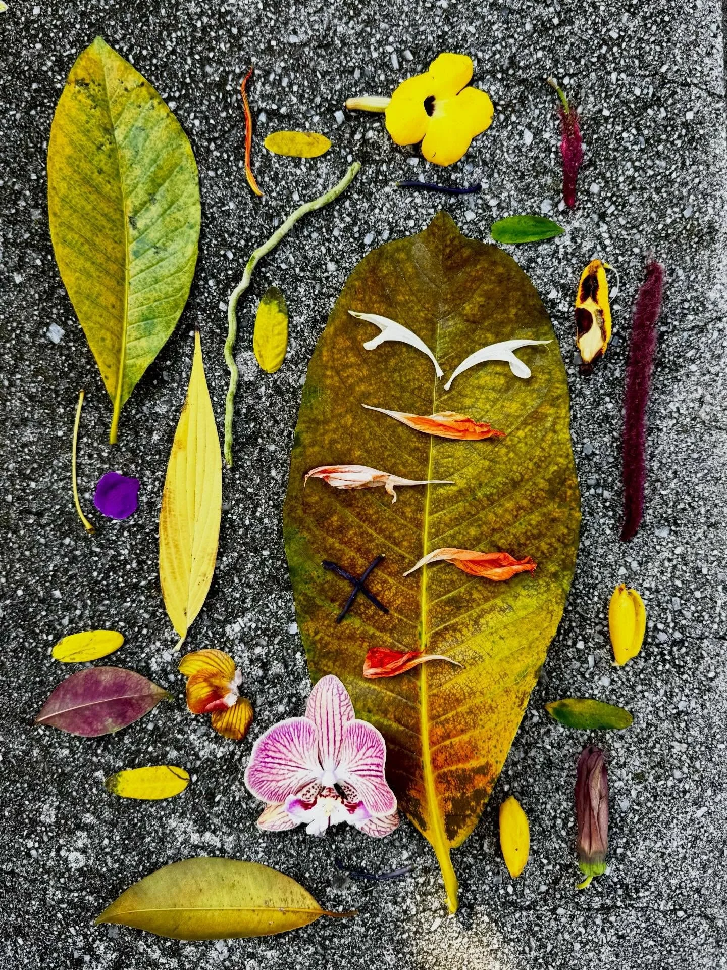 At the NYBG orchid show, I couldn&rsquo;t resist gathering some castoffs from the ground. While my husband and friends patiently waited, I took stock of my finds on a stone bench deep in the garden grounds. #foundontheground #botanicalcollection #nat