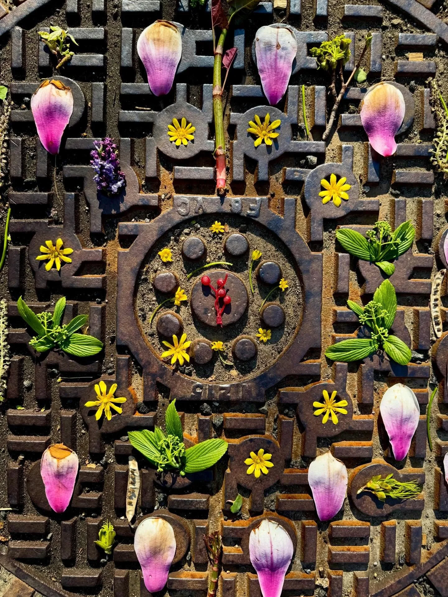 Trespassing on a cul-de-sac. #dogwalkdiarynyc #streetart #manholestagram #manholecoversoftheworld #dogoftheday