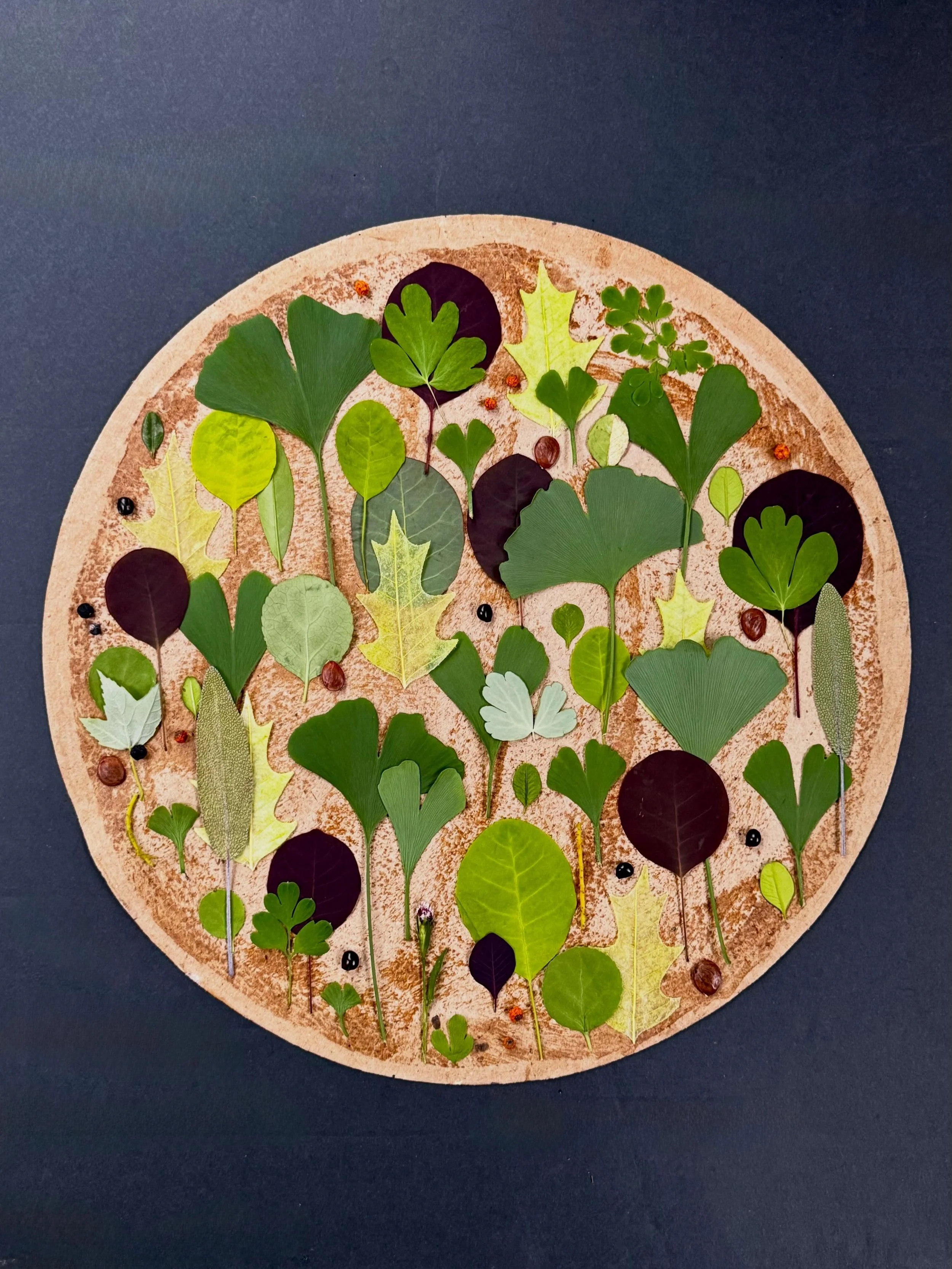 A cardboard pizza topped with city gingkos, our own smokebush lollies, and delicate oak leaf-shaped guest soaps sent by @gramily #dogwalkdiarynyc #botanicalart #leaflove #flatlayoftheday #spreadnaturelove