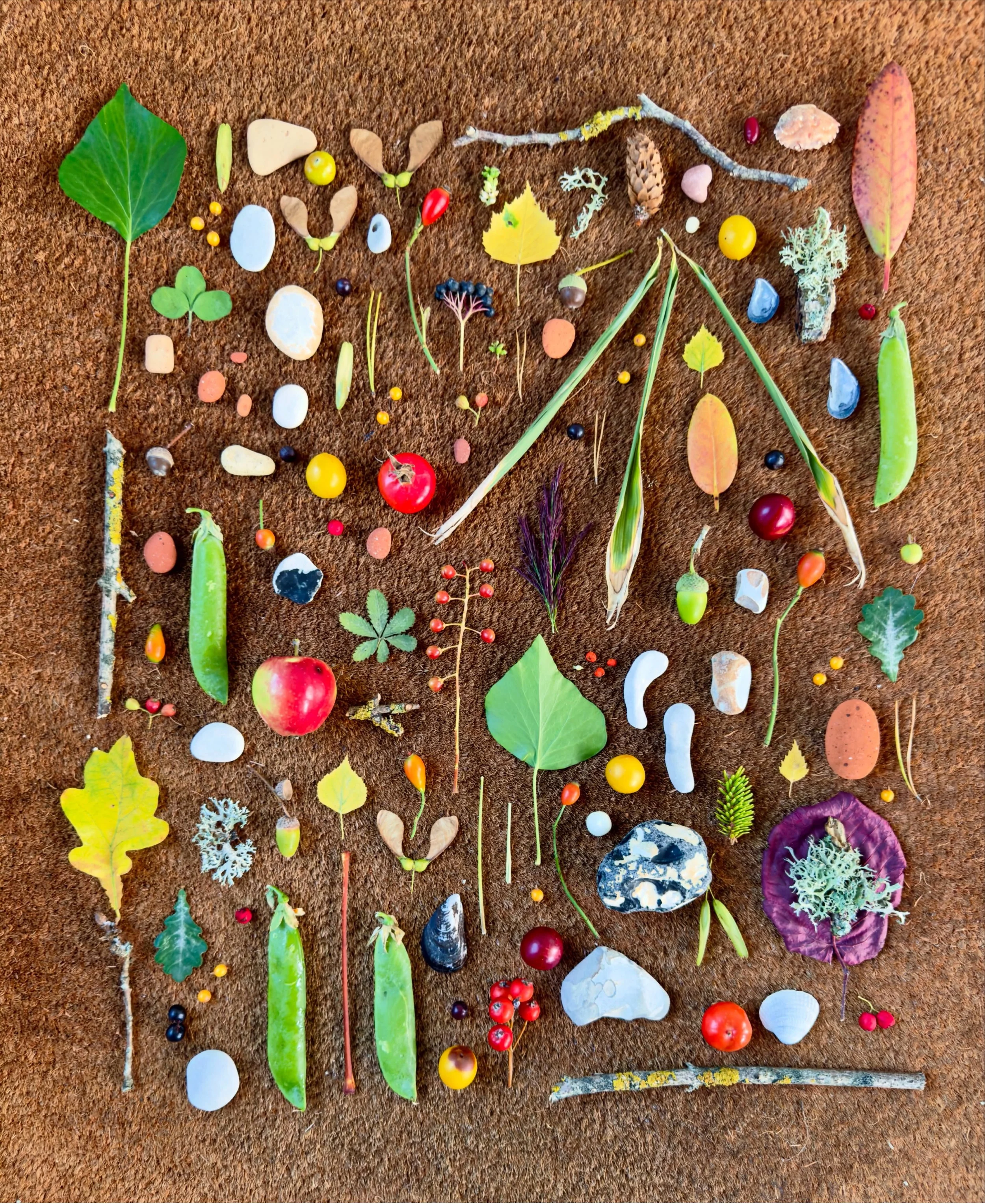 When traveling, I always decorate at least one doormat. #dogwalkdiarynyc #botanicalart #natureflatlays #doormatseries #northzealand