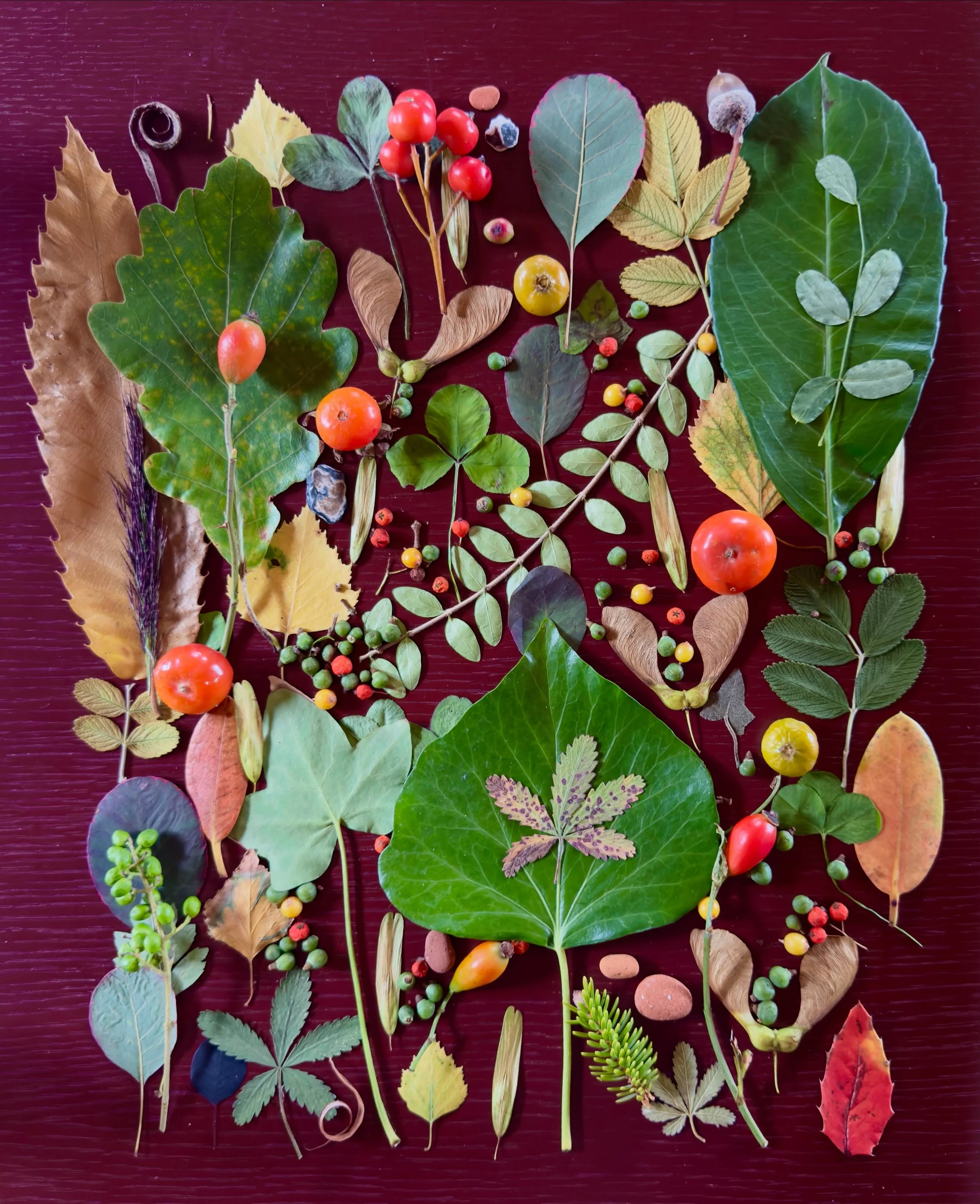 Chair seat data dump. #dogwalkdiarynyc #botanicalart #leafart #natureflatlays #nothingisordinary_