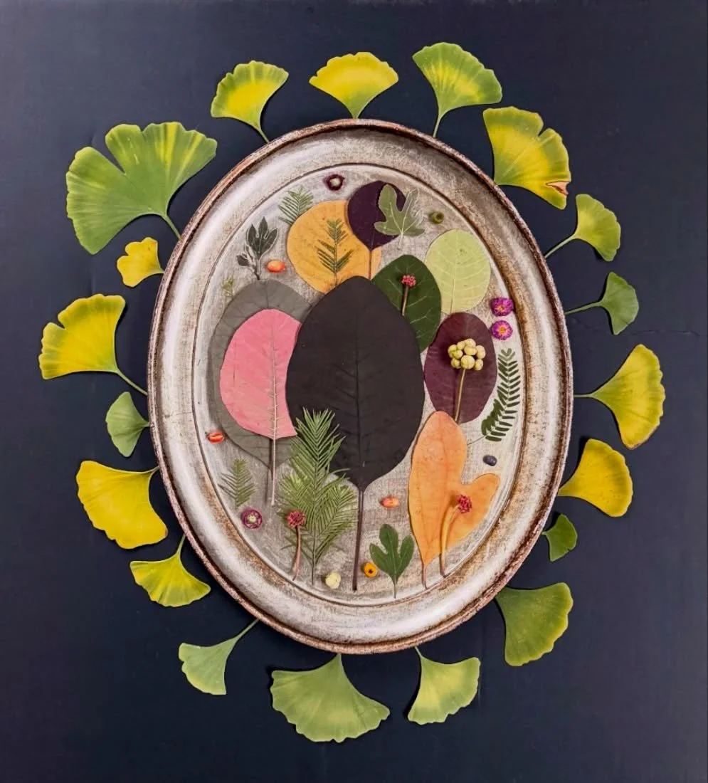 Family portrait on a Venetian wooden tray, a long ago wedding gift that we love. #dogwalkdiarynyc  #botanicalart #fortheloveofleaves_ #gingko #smokebush