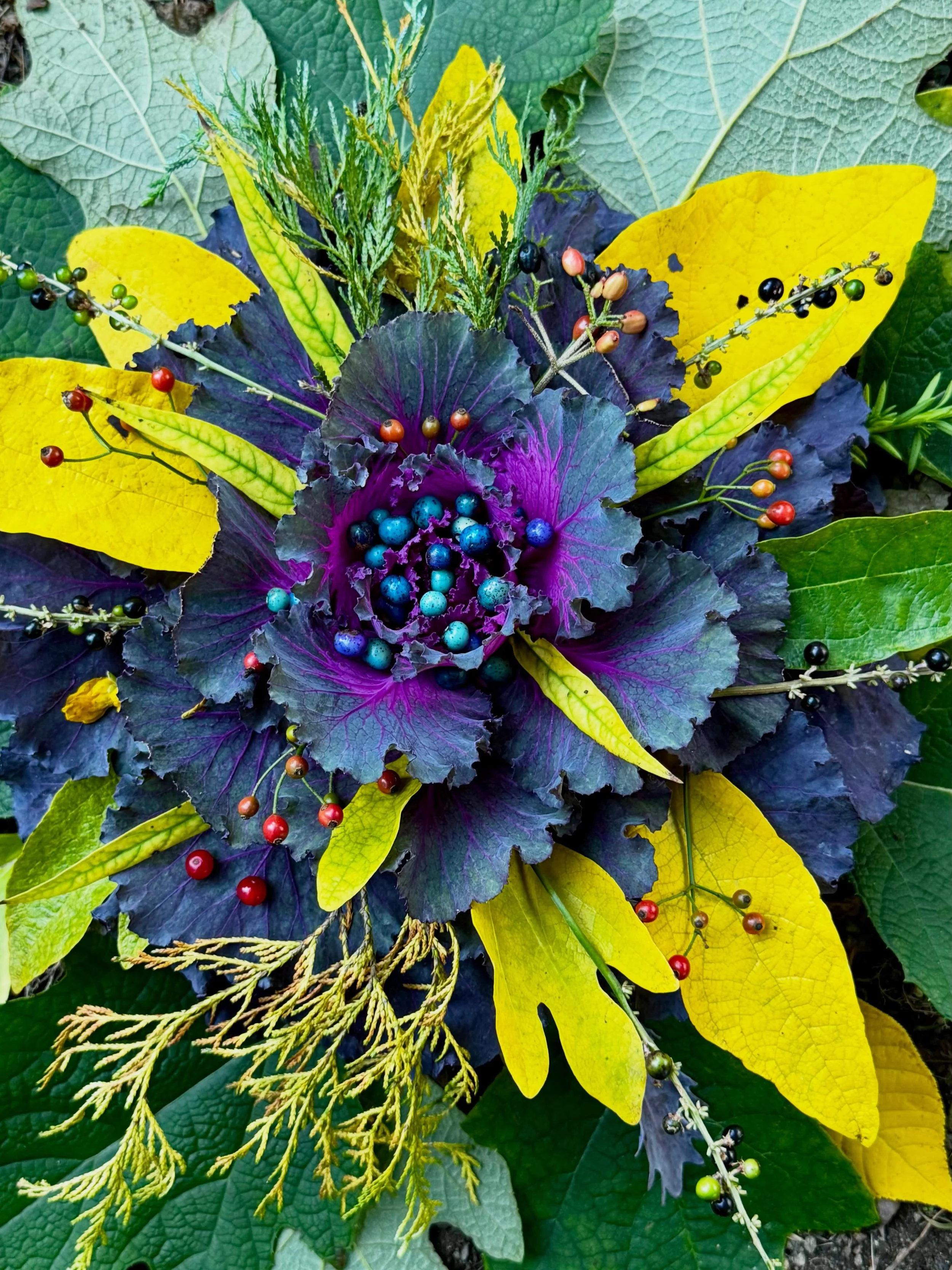 Halloween costume for the cabbage next door. #dogwalkdiarynyc #botanicalpickmeup #ornamentalcabbage #artandnature #ephemeralartjourneysdaily