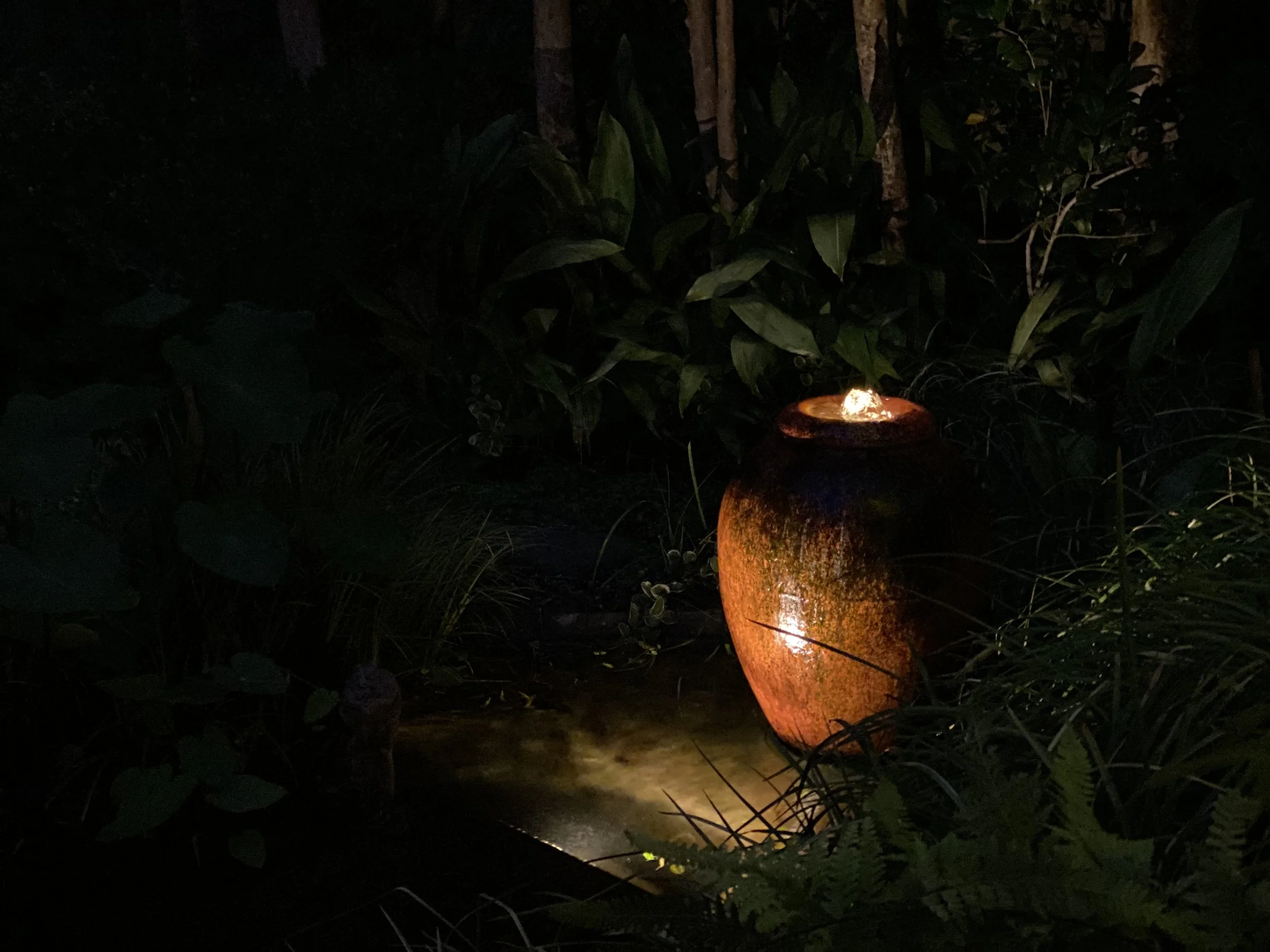 A Legacy in Light
