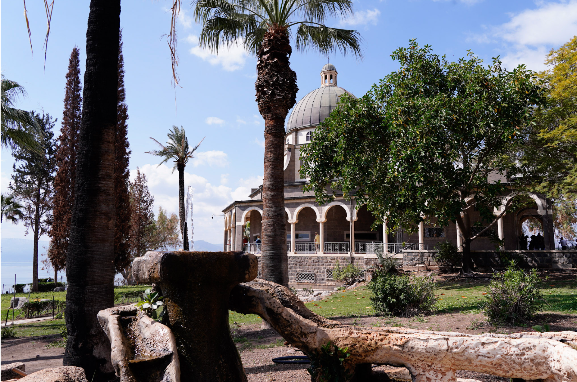 Screen Shot 2023-03-10 at 10.24.04 PM.png