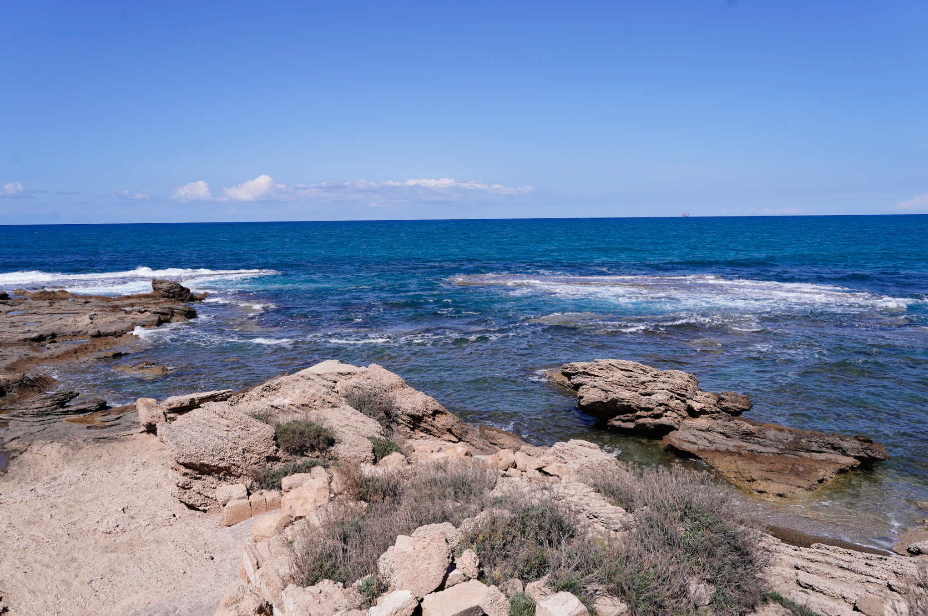 Screen Shot 2023-03-10 at 10.01.20 PM.png