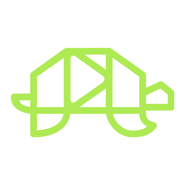 Brian Cole - Plaid Turtle