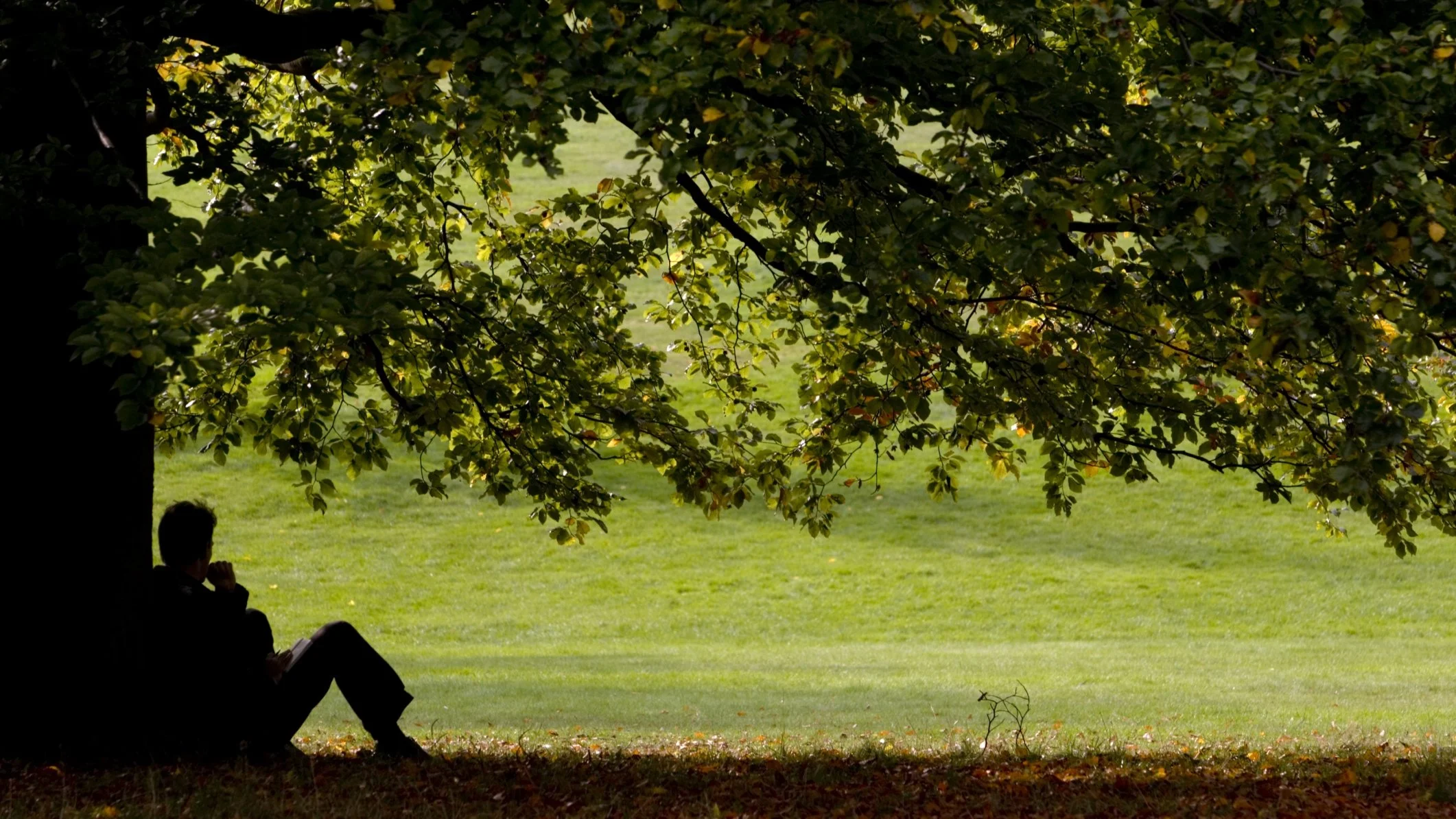 How gratitude saved my life