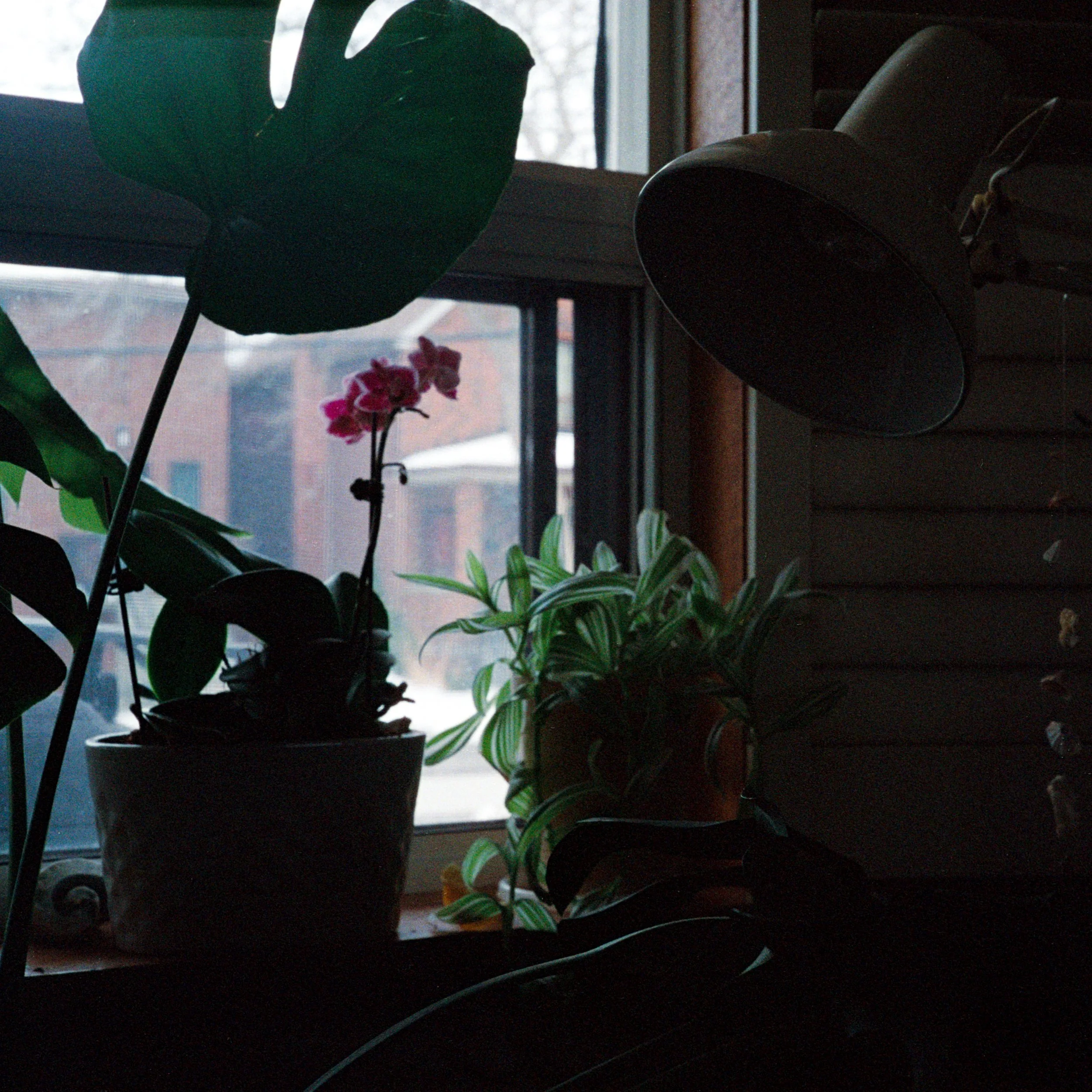 230127_M-35.jpg