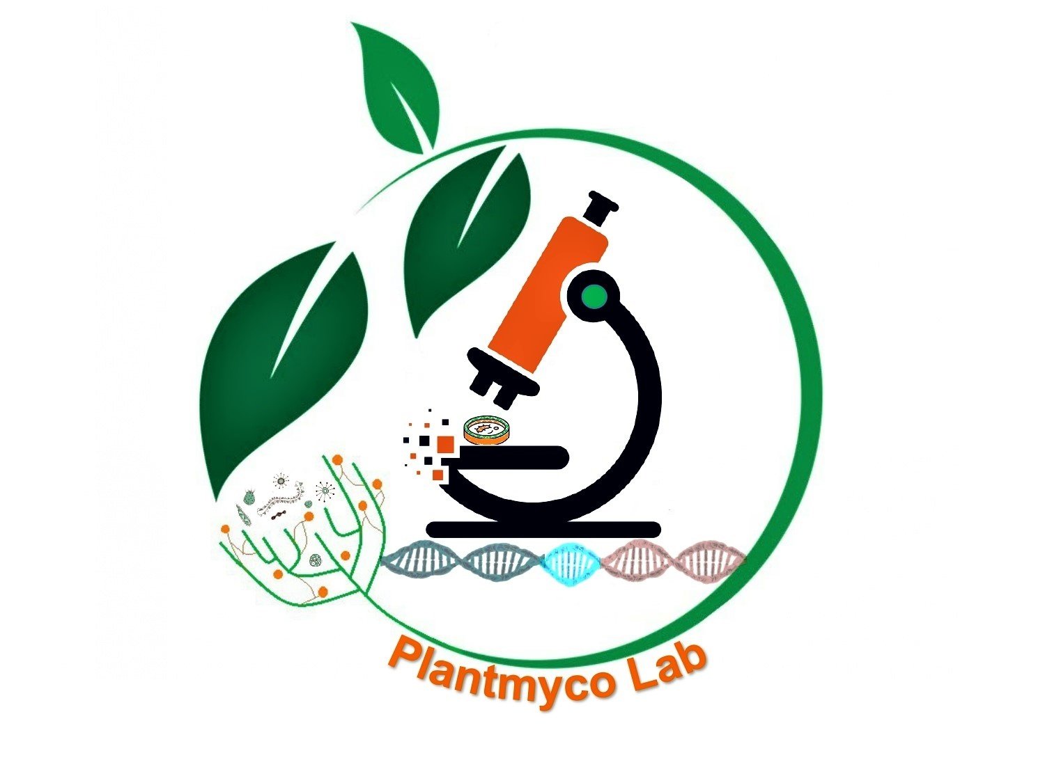 The PlantMycoLab