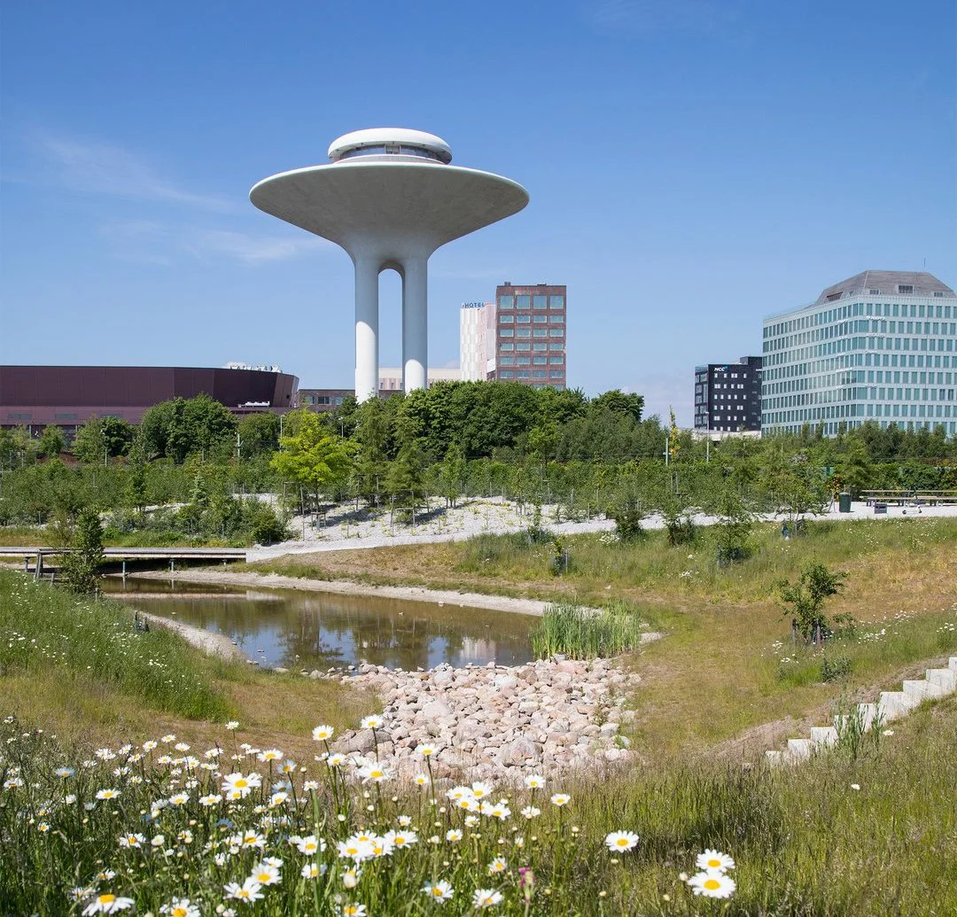 More biodiversity in the city – for Malmö and the Planet!