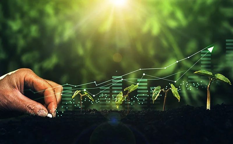 New 5 credit course on Sustainability reporting, Transition finance and Business transformation