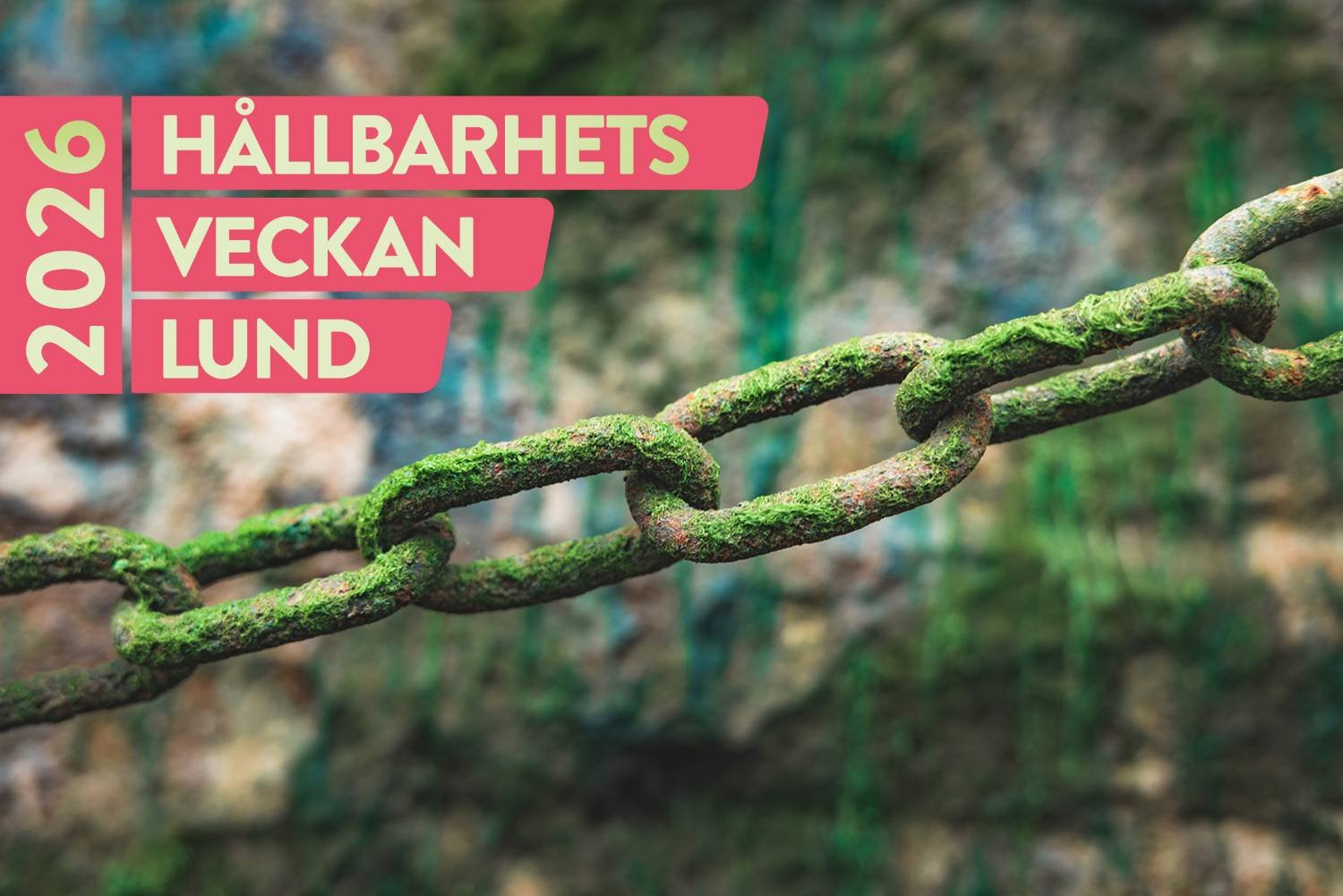 Kapacitet och resiliens i en tid av naturkris och geopolitisk osäkerhet