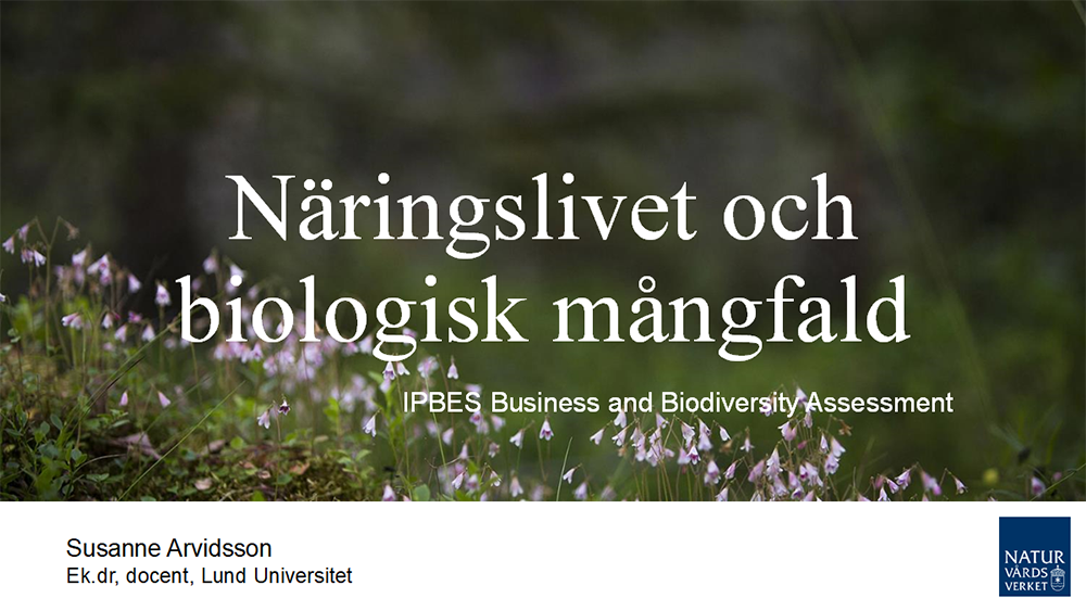 Mistra BIOPATH contributes to the Swedish business sector’s work on biodiversity - submit your input!
