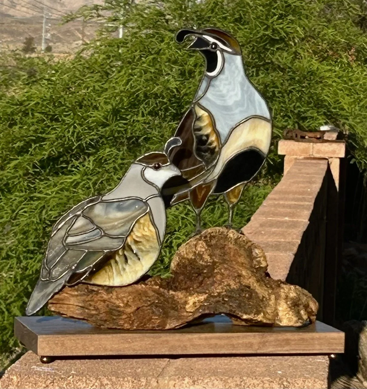 Quail Couple