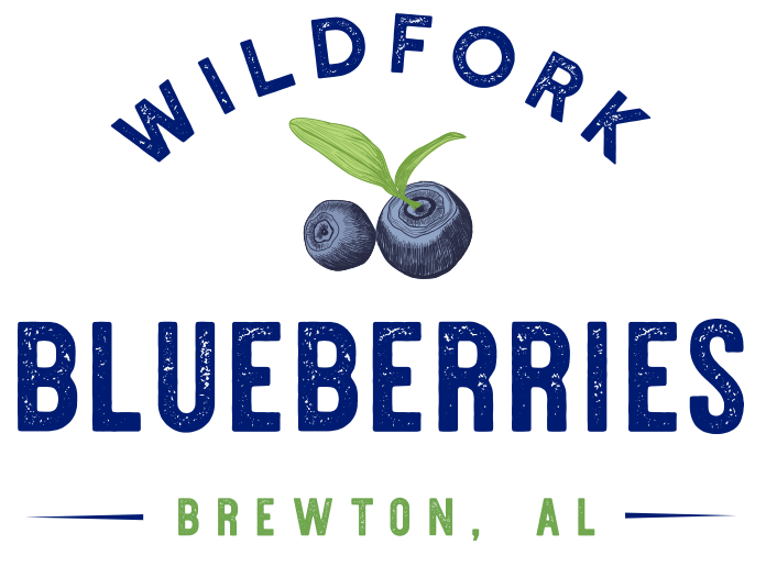 Wildfork Blueberries