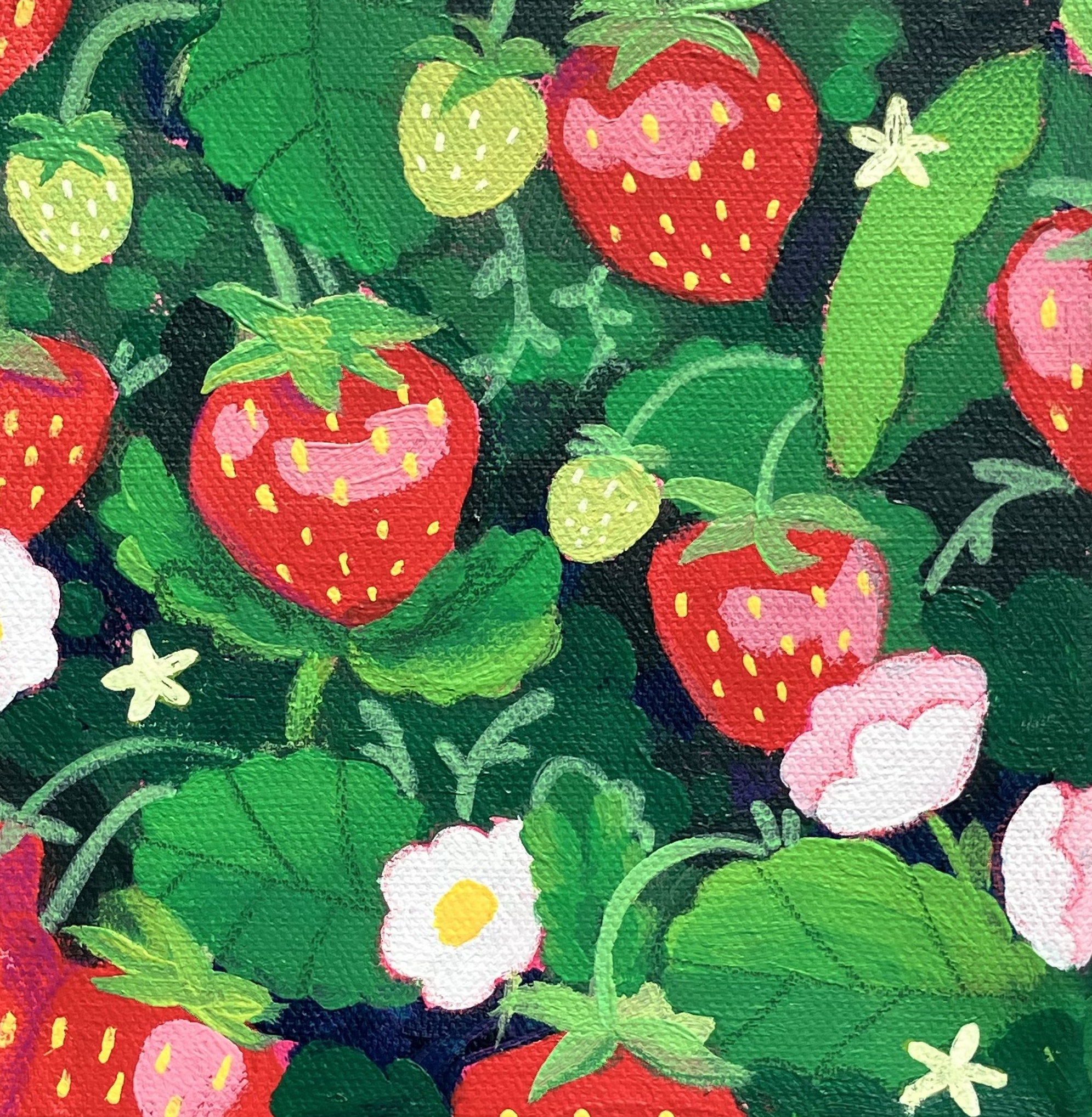 Paloma Lopez | Summer Berries | $65