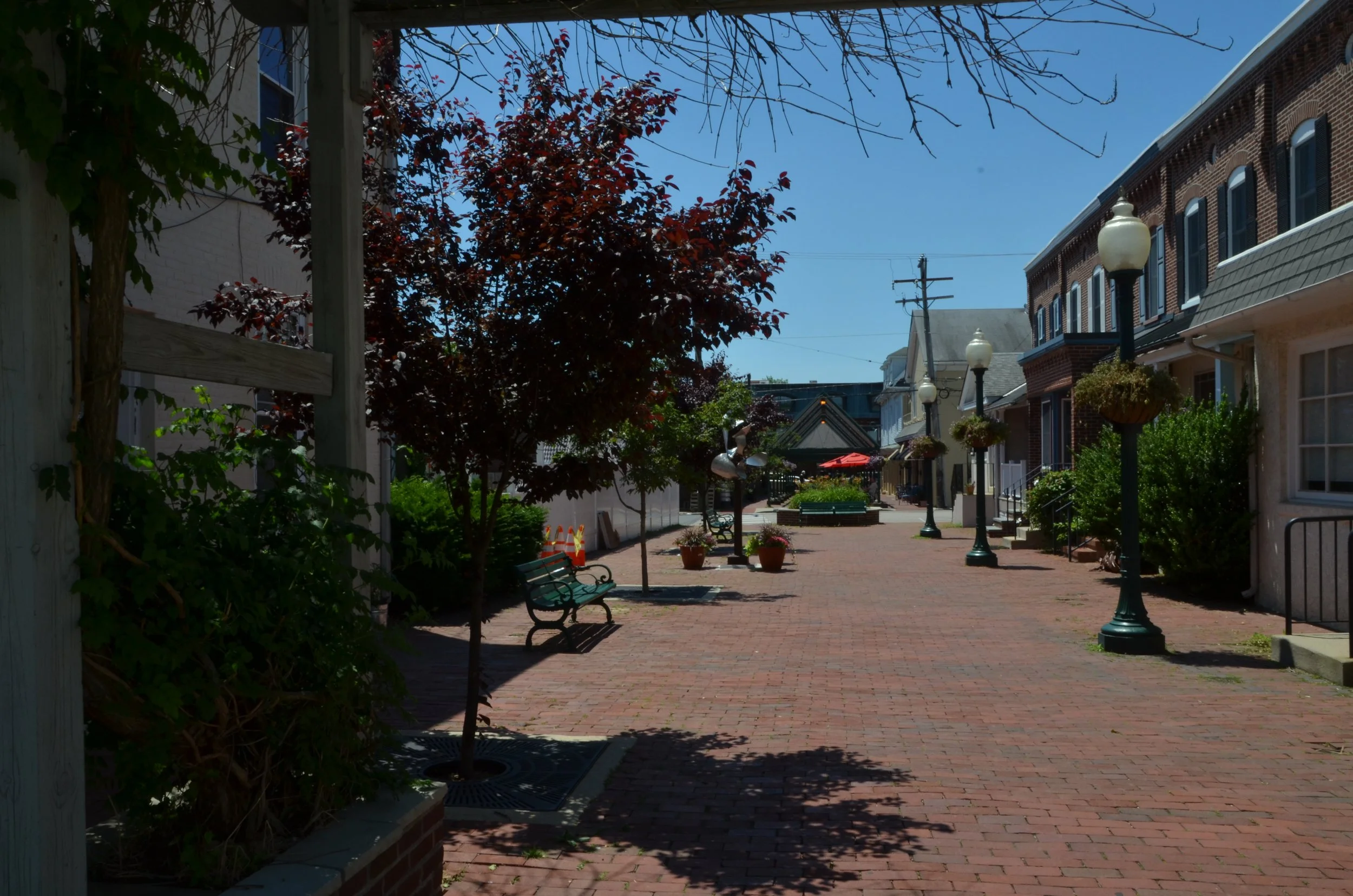 DSC_3386.JPG