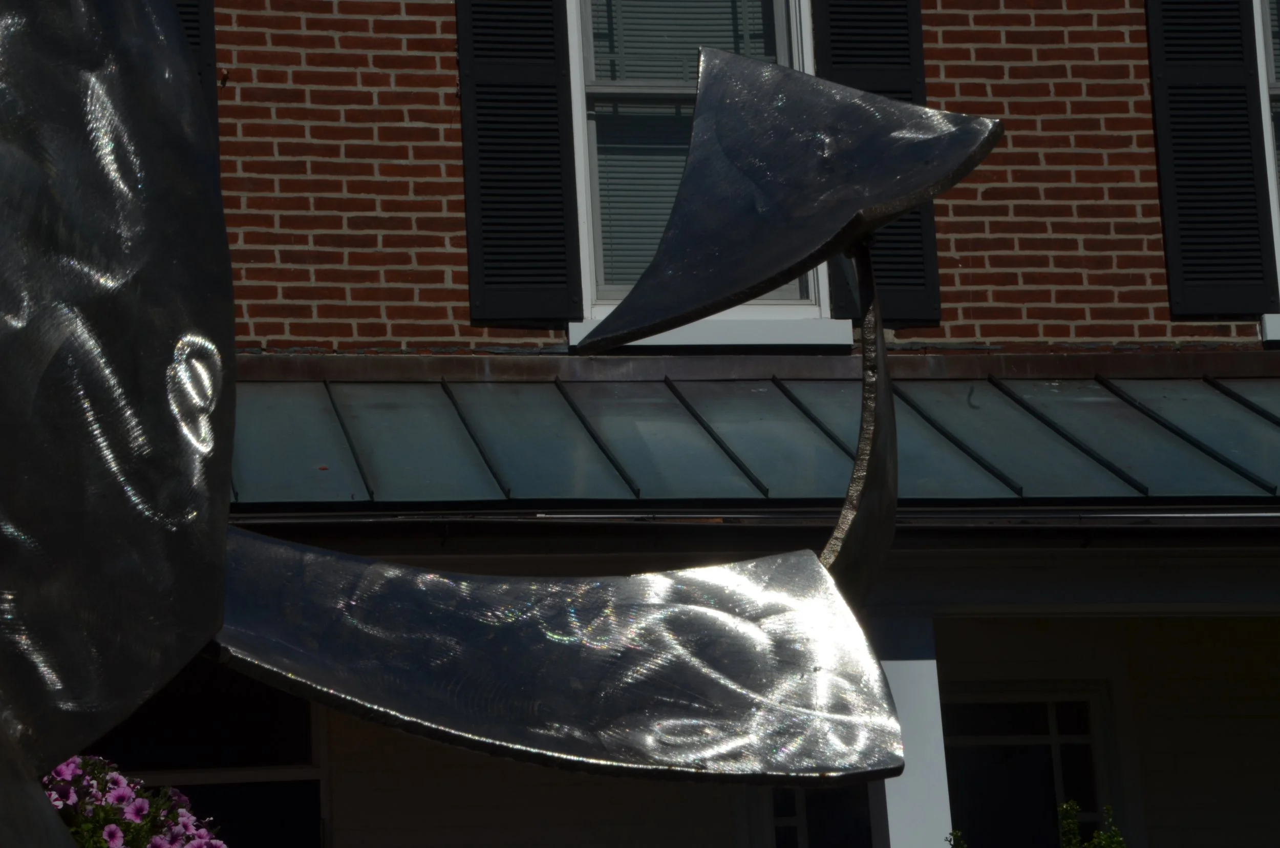 DSC_3297.JPG