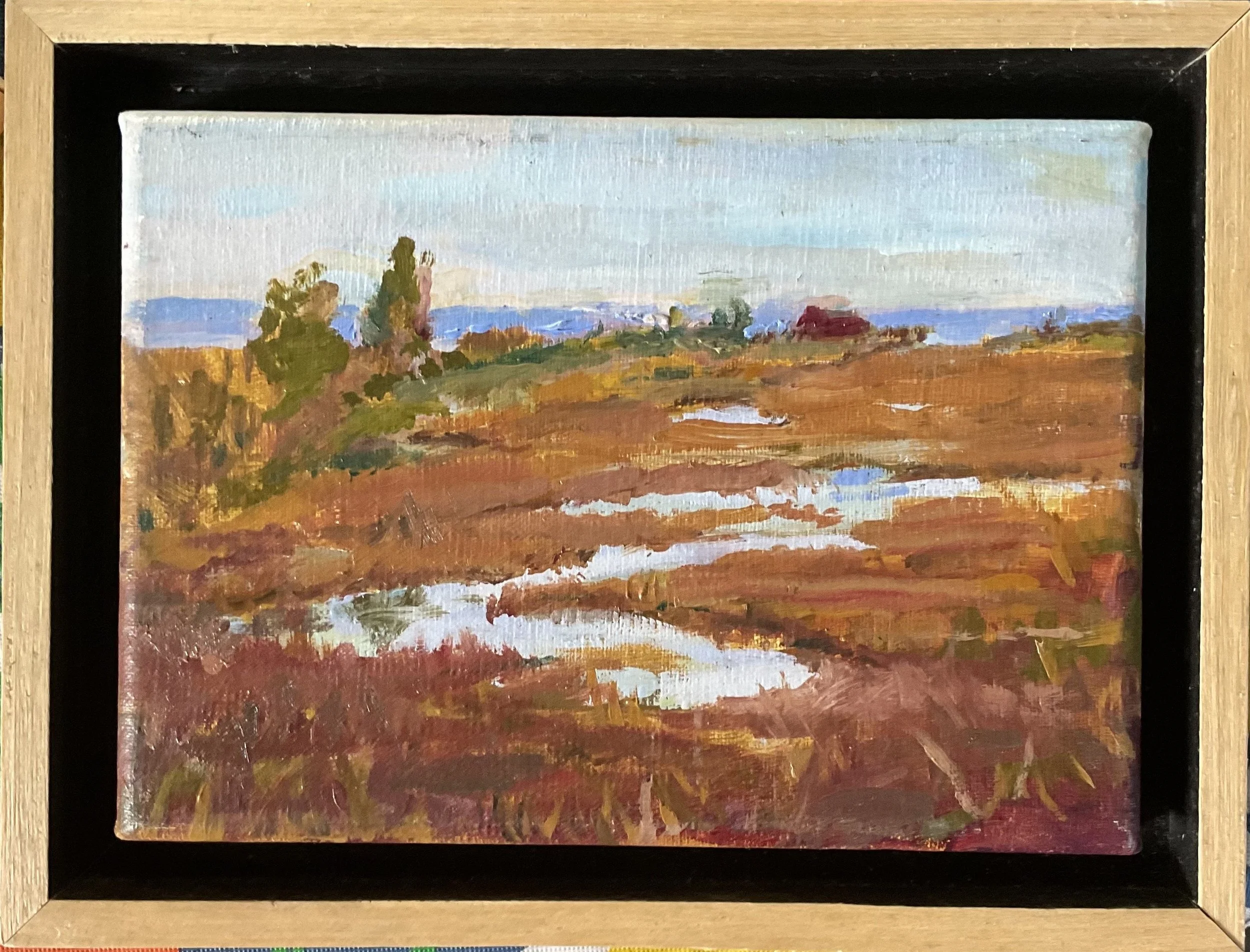 Eliabeth Breakell | Stone Harbor Wetlands | $125