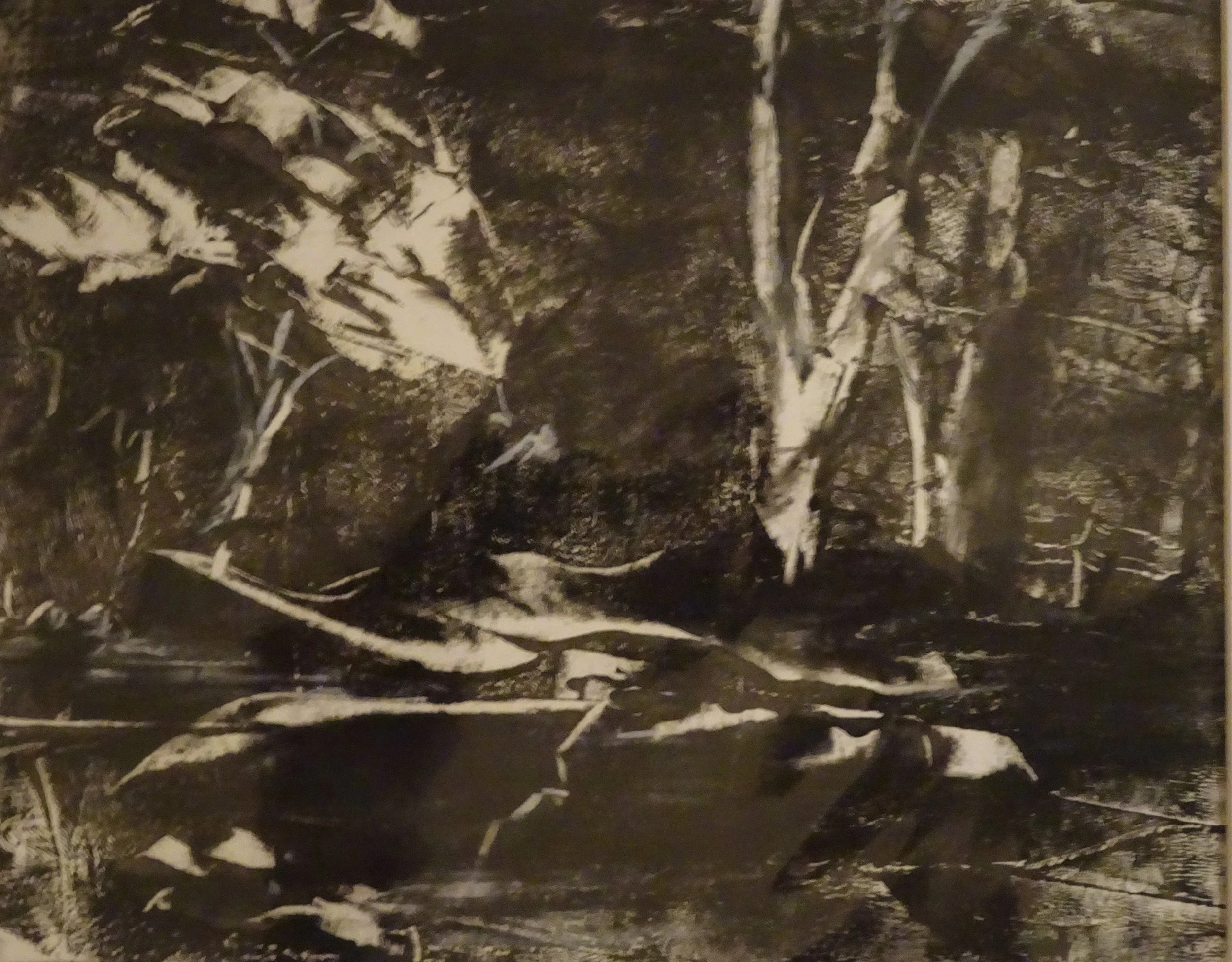 Dee Casner | Searching | $125