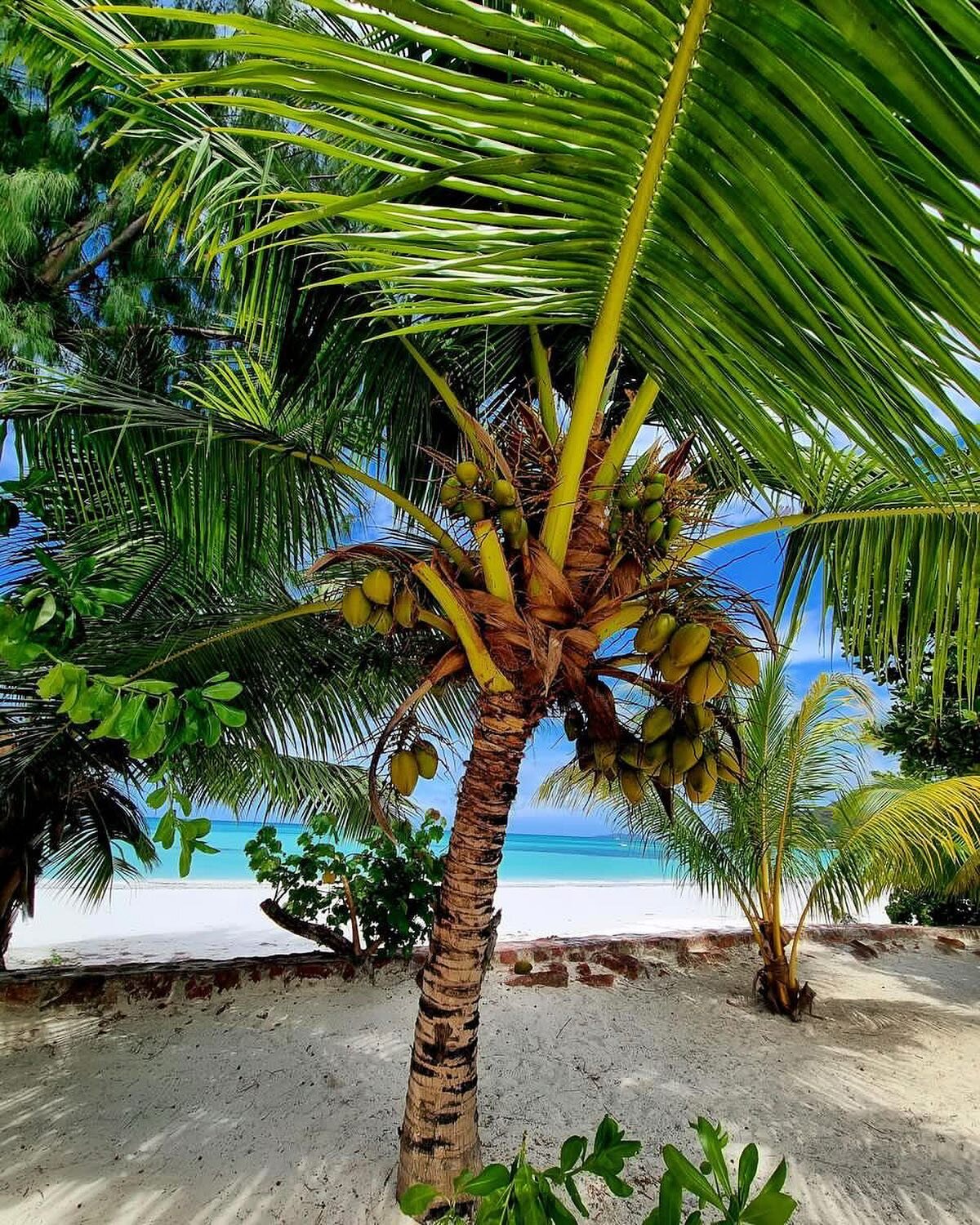 The place to be.. Seychelles Footprints 💙.

📷 from our lovely guest @barbarawarmbrodt . 🫶🏼

#visitseychelles #praslin #whitesandbeach #seychelles #paradisefound #vacationmode #travelideas #seychelles #footprintsseychelles