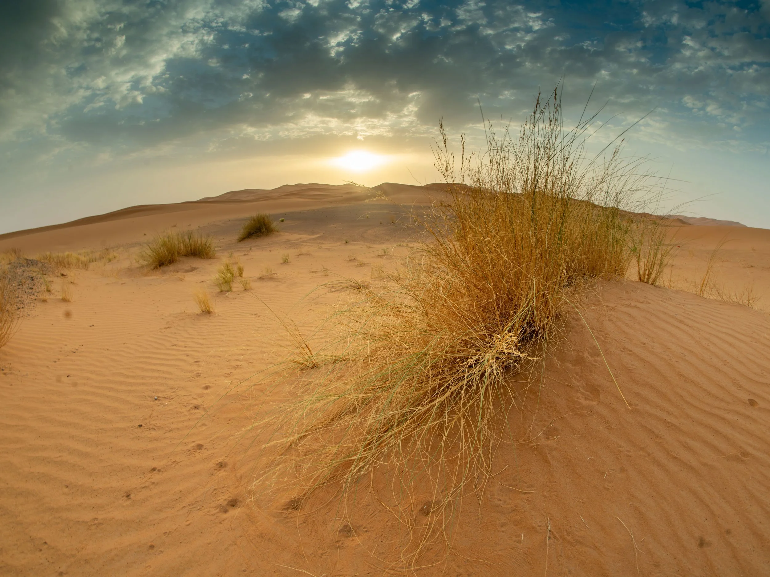 Morocco-0361.jpg